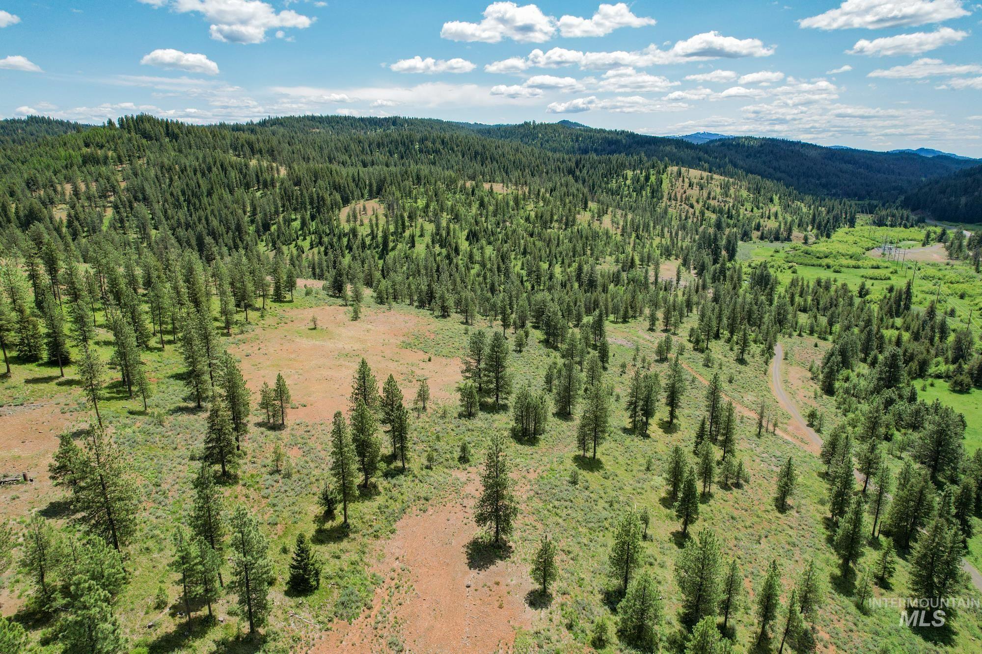 TBD Highway 95, New Meadows, Idaho 83654, Land For Sale, Price $1,909,695, 98950756