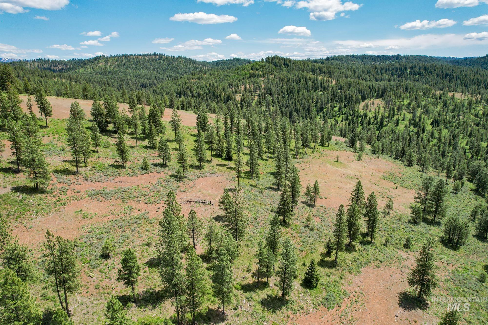 TBD Highway 95, New Meadows, Idaho 83654, Land For Sale, Price $1,909,695, 98950756