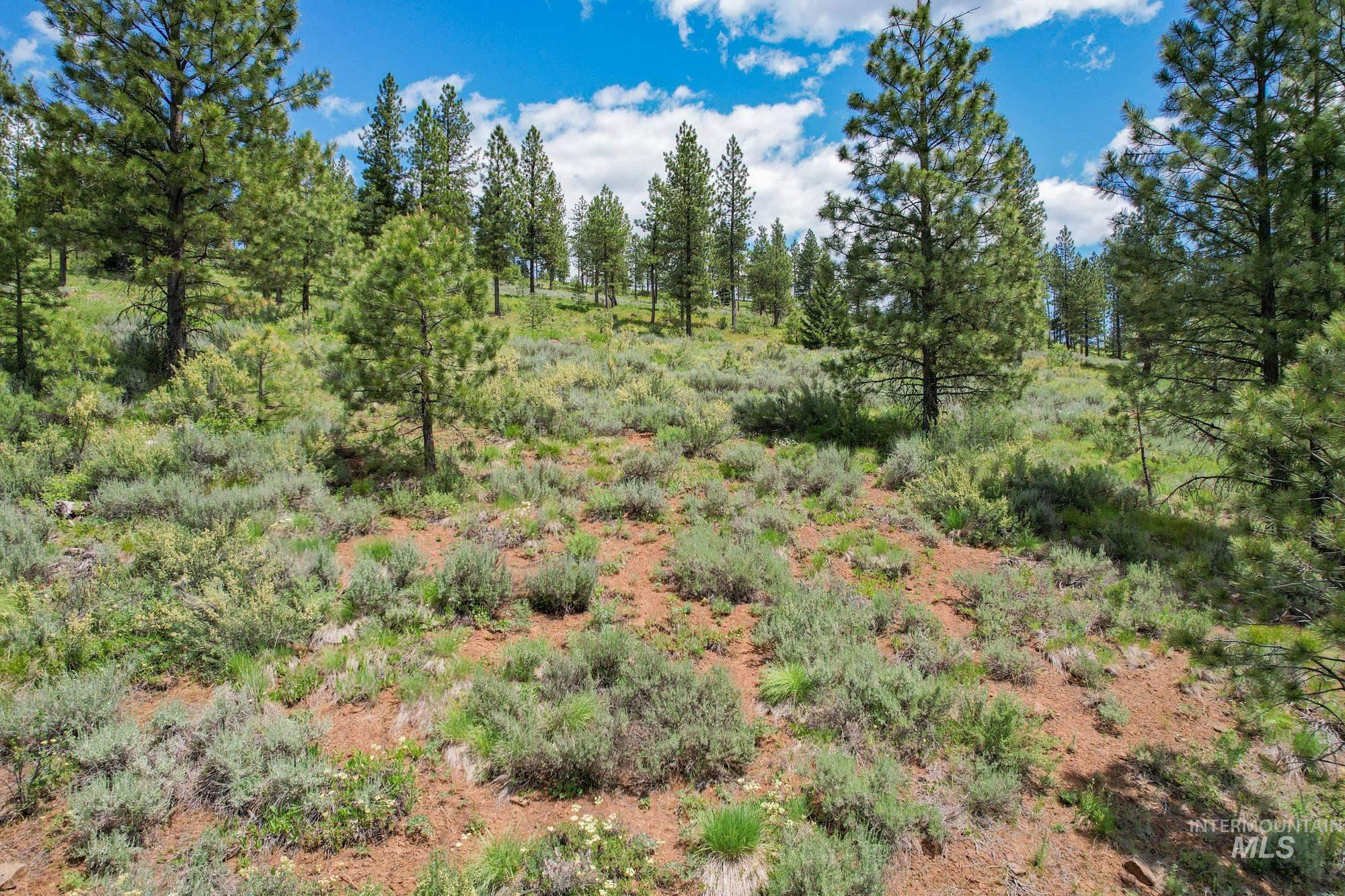 TBD Highway 95, New Meadows, Idaho 83654, Land For Sale, Price $1,909,695, 98950756