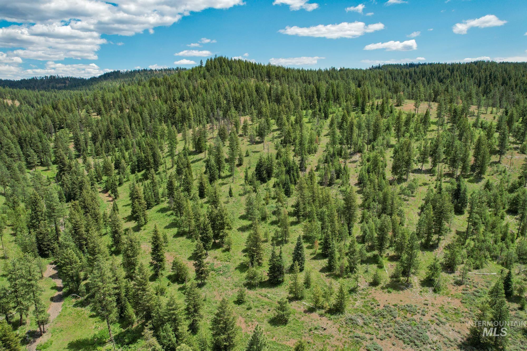 TBD Highway 95, New Meadows, Idaho 83654, Land For Sale, Price $1,909,695, 98950756