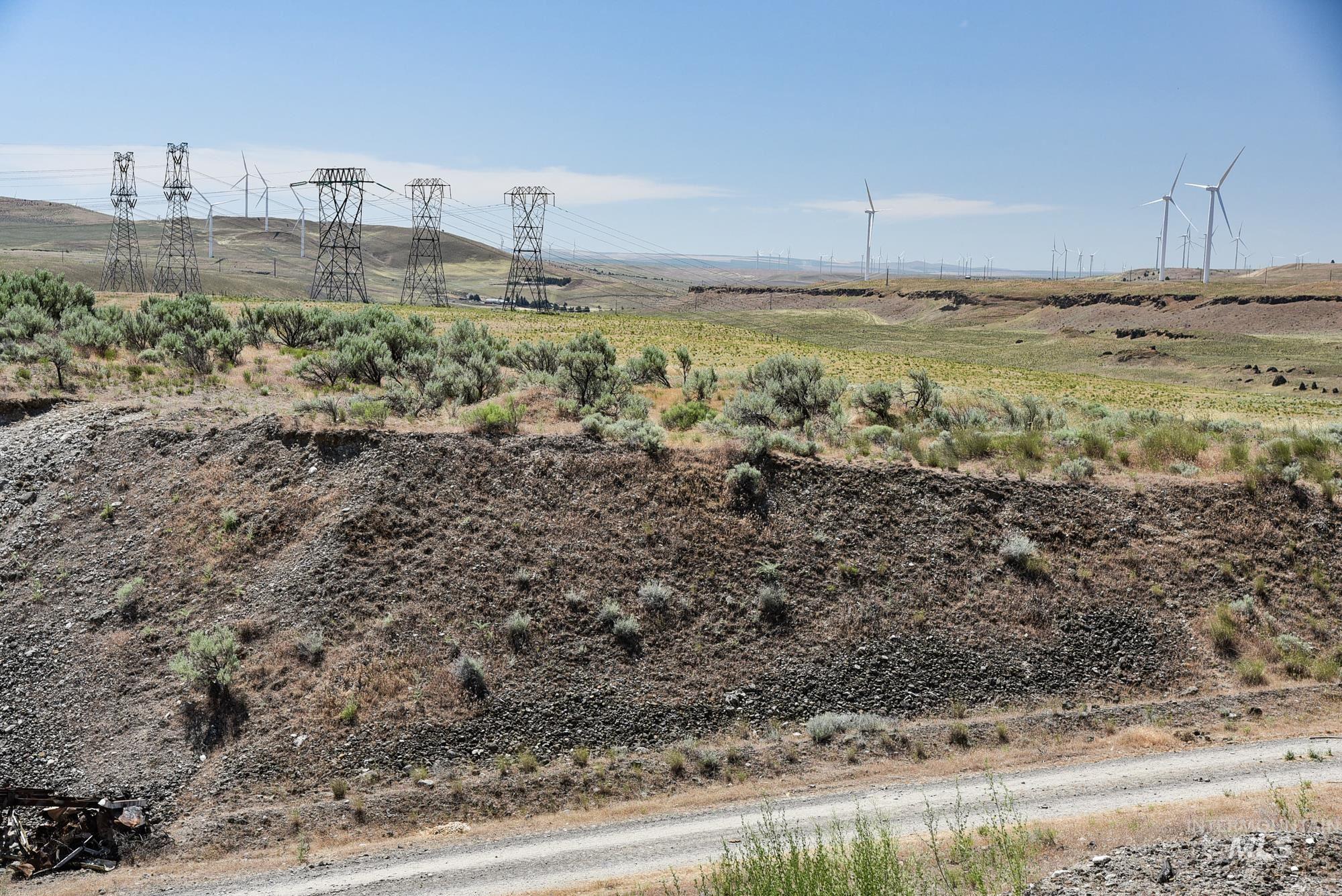 74207 Rhea Lane, Arlington, Oregon 97812, 4 Bedrooms, 2 Bathrooms, Farm & Ranch For Sale, Price $1,MLS 98950807