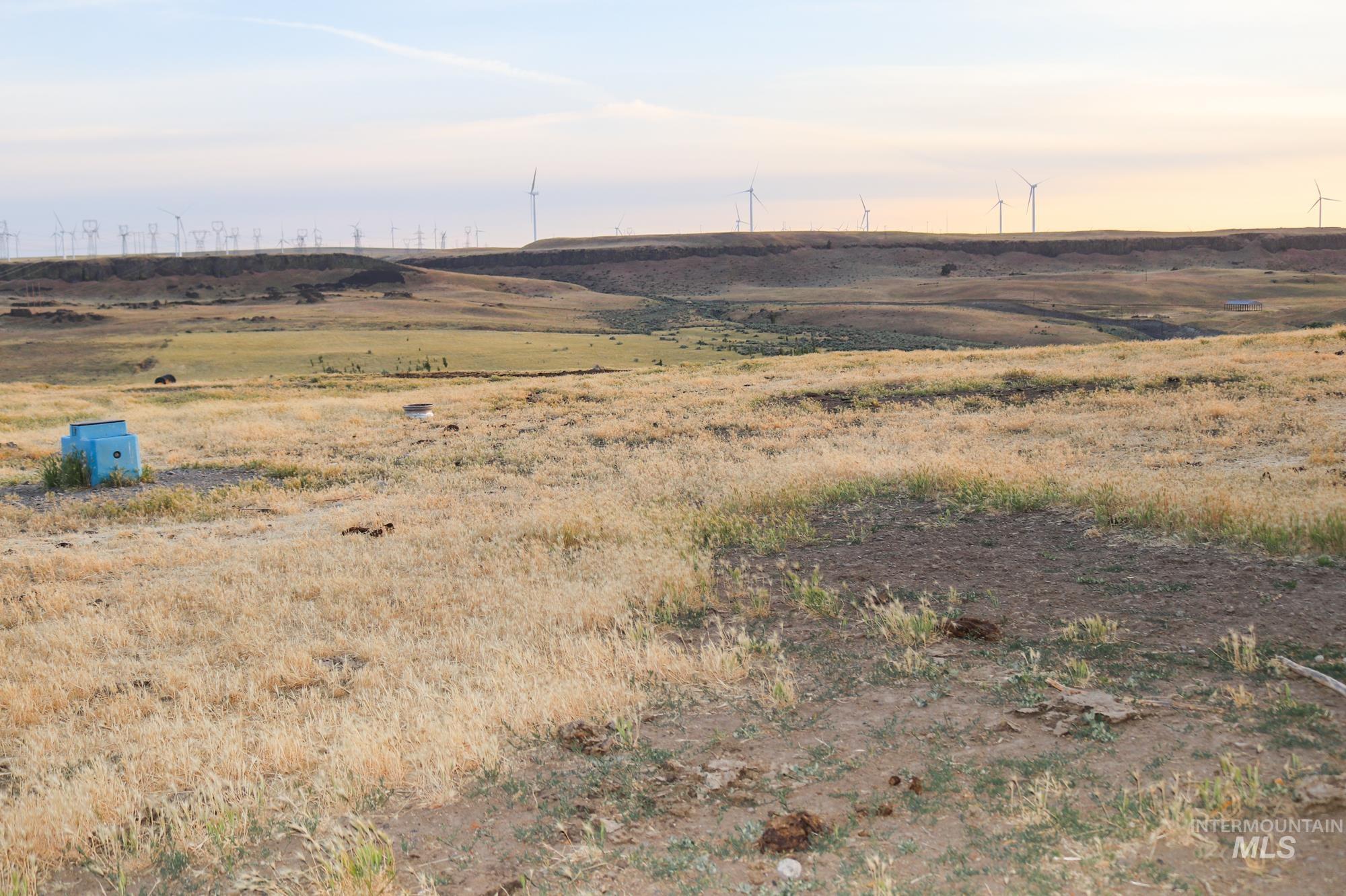 74207 Rhea Lane, Arlington, Oregon 97812, 4 Bedrooms, 2 Bathrooms, Farm & Ranch For Sale, Price $1,MLS 98950807