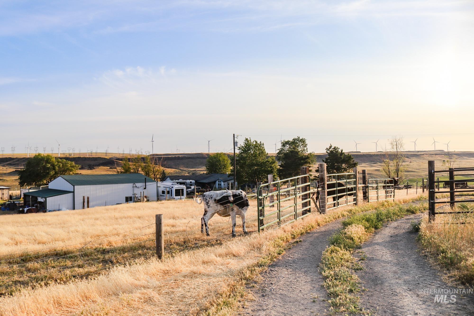 74207 Rhea Lane, Arlington, Oregon 97812, 4 Bedrooms, 2 Bathrooms, Farm & Ranch For Sale, Price $1,MLS 98950807