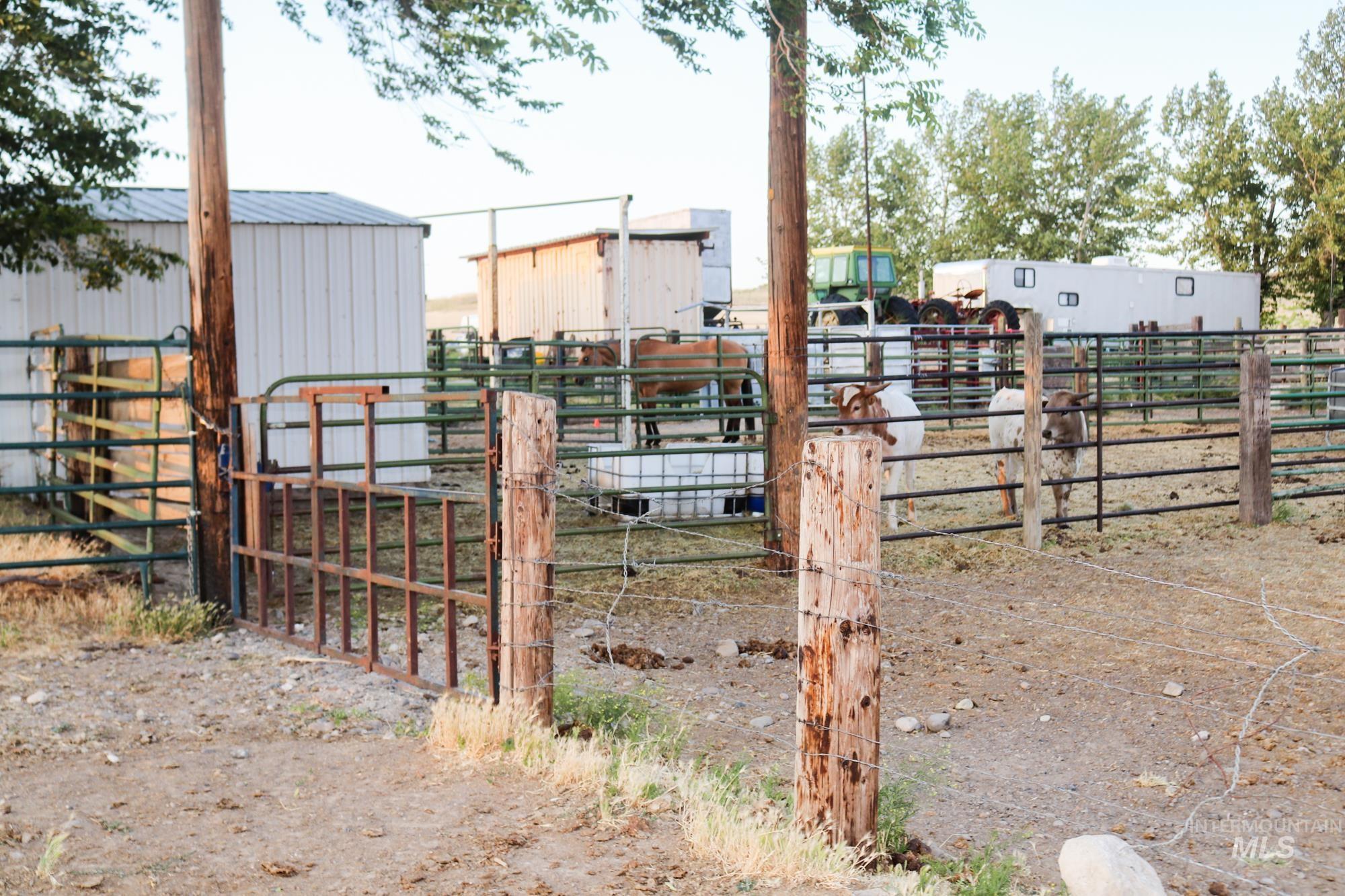 74207 Rhea Lane, Arlington, Oregon 97812, 4 Bedrooms, 2 Bathrooms, Farm & Ranch For Sale, Price $1,MLS 98950807
