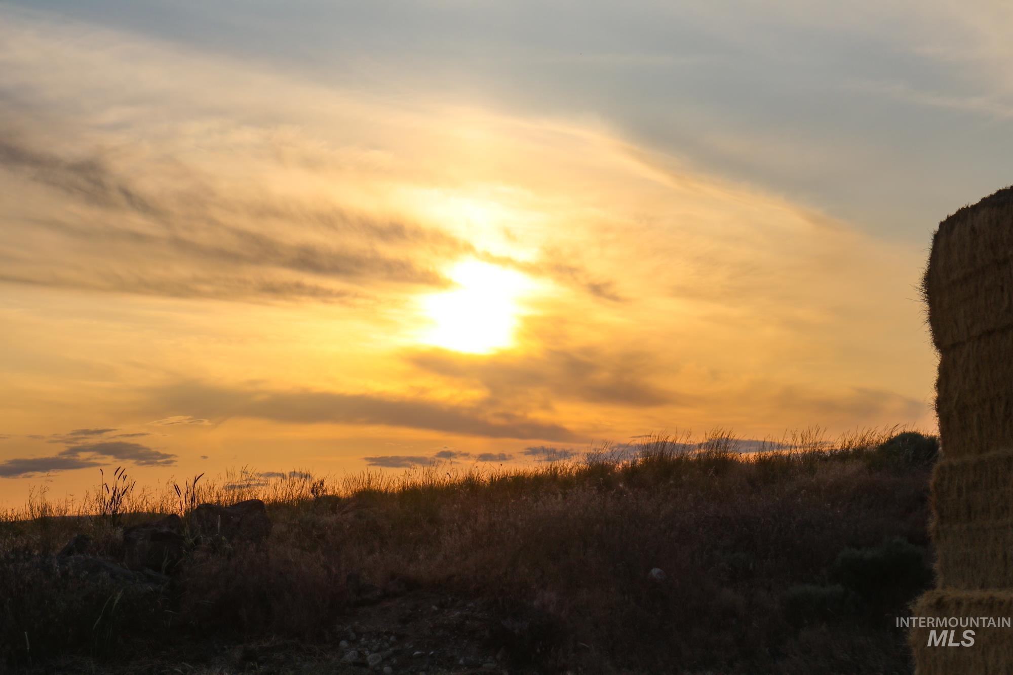 74207 Rhea Lane, Arlington, Oregon 97812, 4 Bedrooms, 2 Bathrooms, Farm & Ranch For Sale, Price $1,MLS 98950807