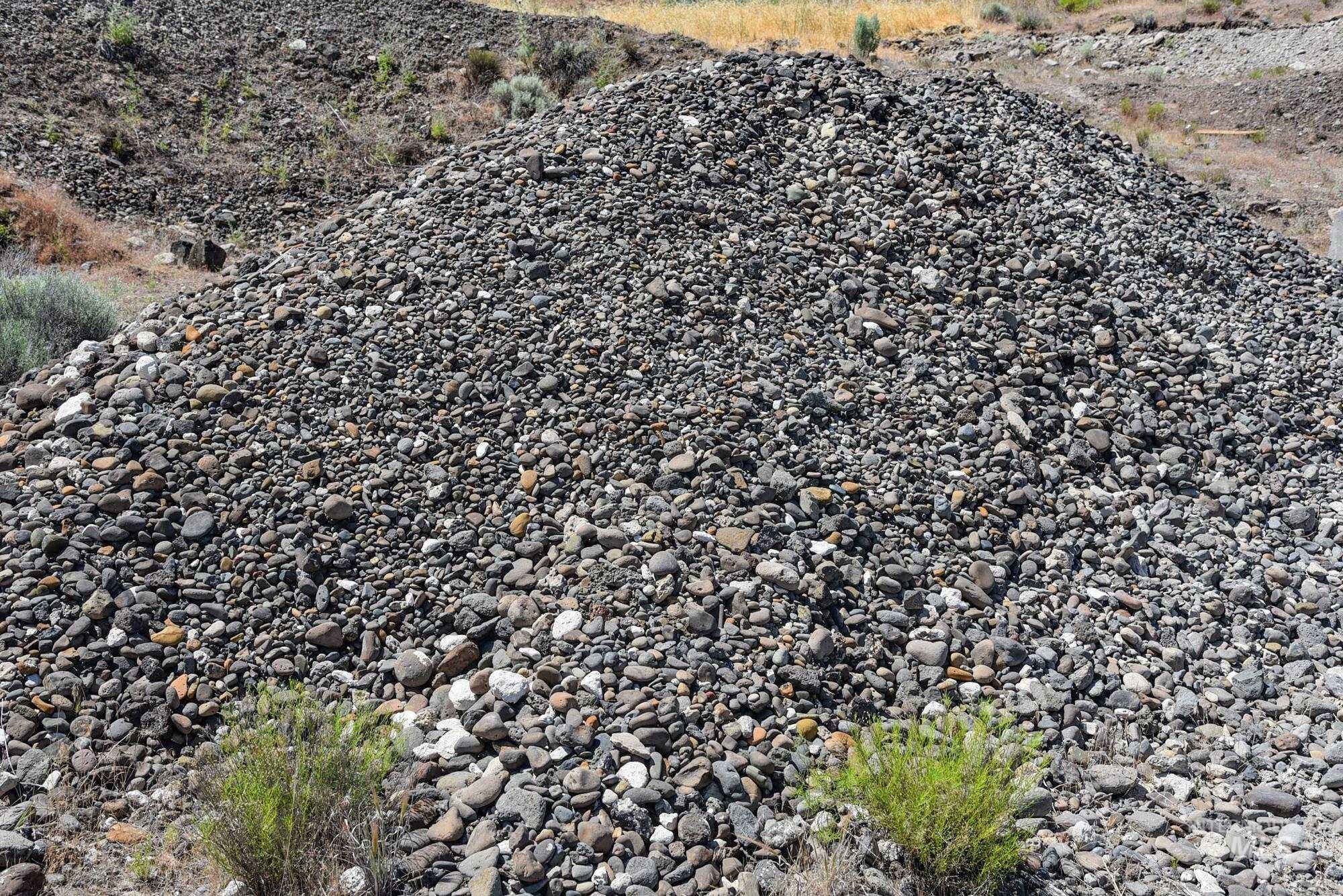 74207 Rhea Lane, Arlington, Oregon 97812, 4 Bedrooms, 2 Bathrooms, Farm & Ranch For Sale, Price $1,MLS 98950807