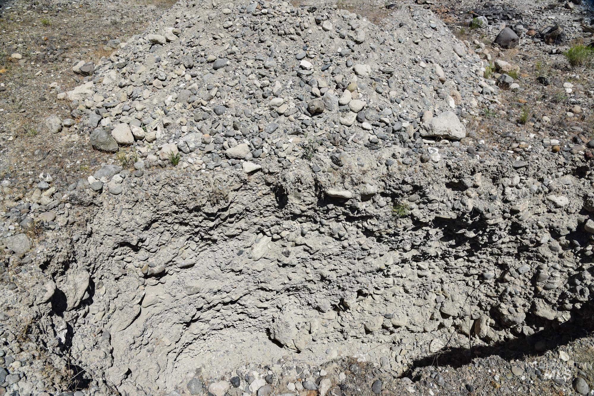 74207 Rhea Lane, Arlington, Oregon 97812, 4 Bedrooms, 2 Bathrooms, Farm & Ranch For Sale, Price $1,MLS 98950807