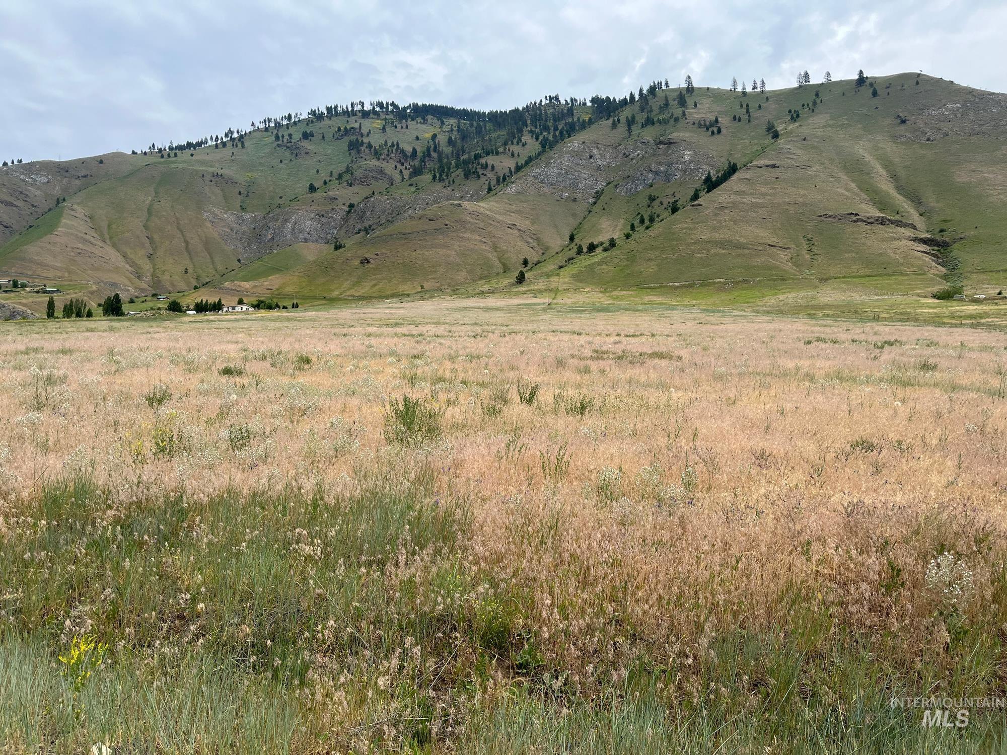 TBD Twilegar Ln, Lucile, Idaho 83542, Land For Sale, Price $289,900, 98950852