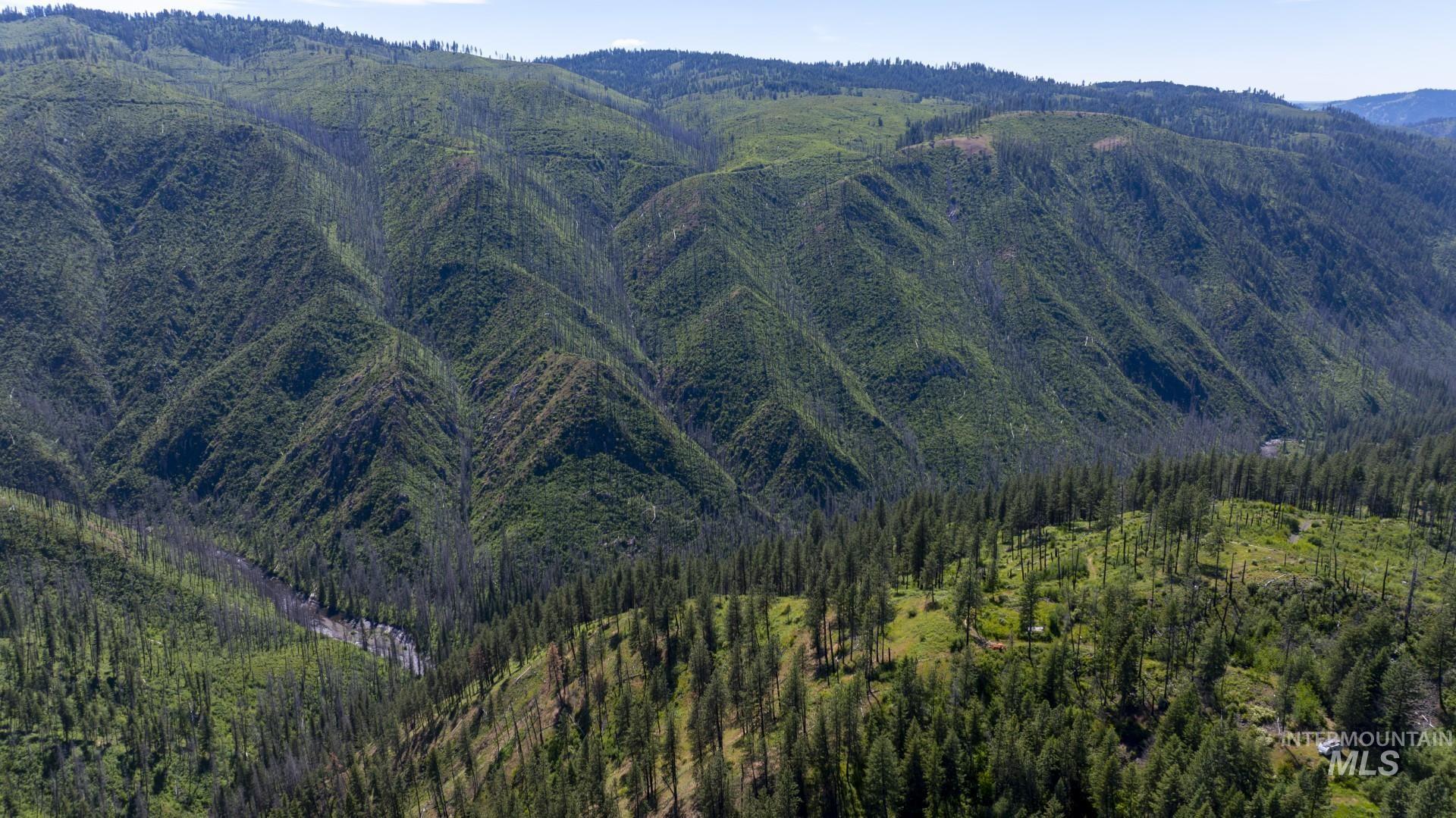 0 Forest Garden Ln, Parcel 4, Weippe, Idaho 83553, Land For Sale, Price $149,900, 98951008