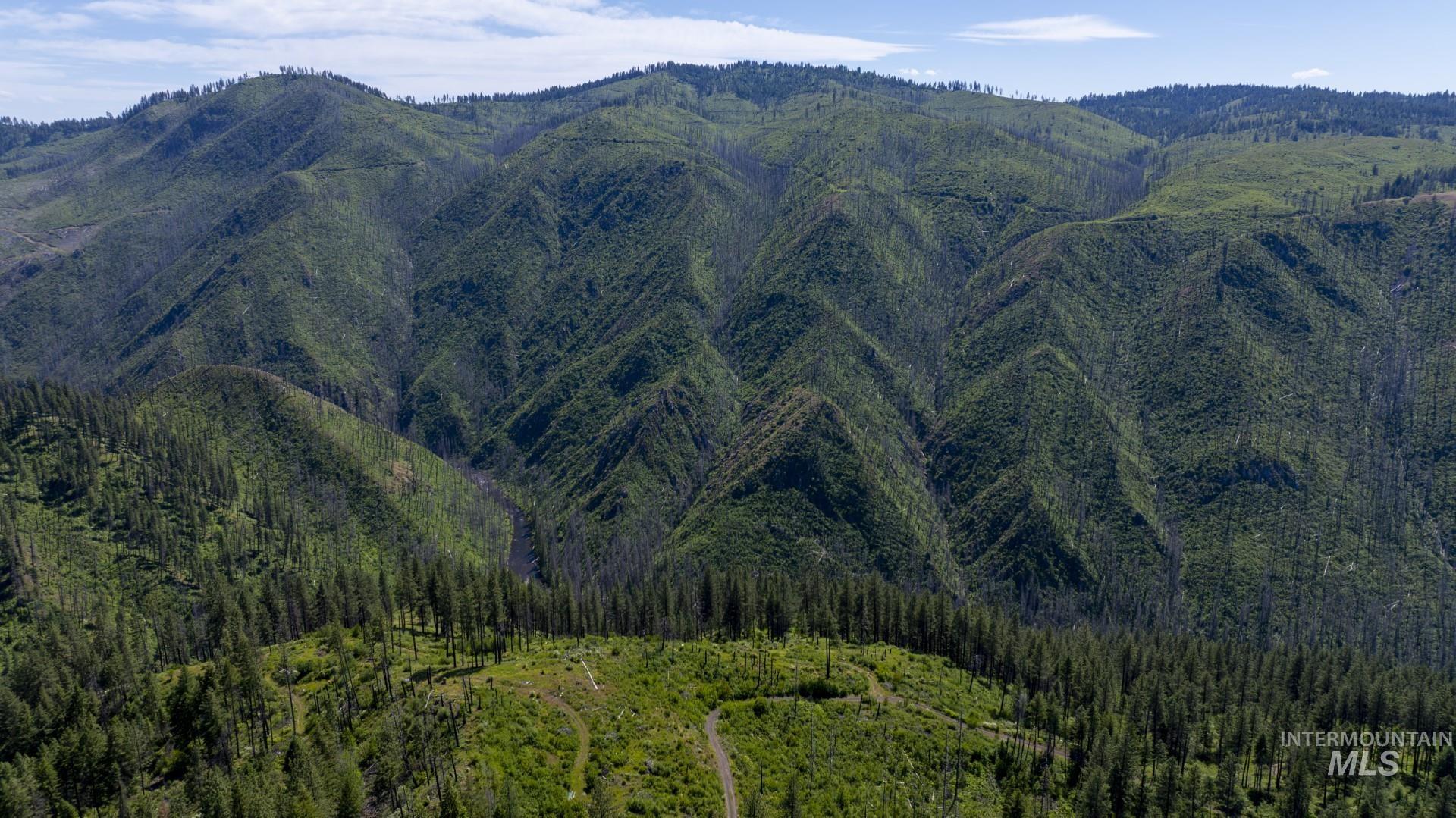 0 Forest Garden Ln, Parcel 4, Weippe, Idaho 83553, Land For Sale, Price $149,900, 98951008