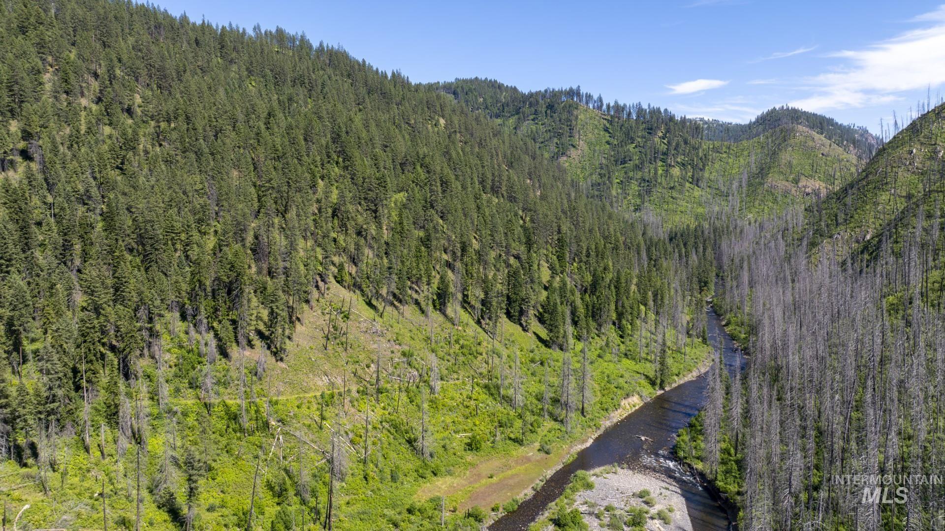 0 Forest Garden Ln, Parcel 4, Weippe, Idaho 83553, Land For Sale, Price $149,900, 98951008