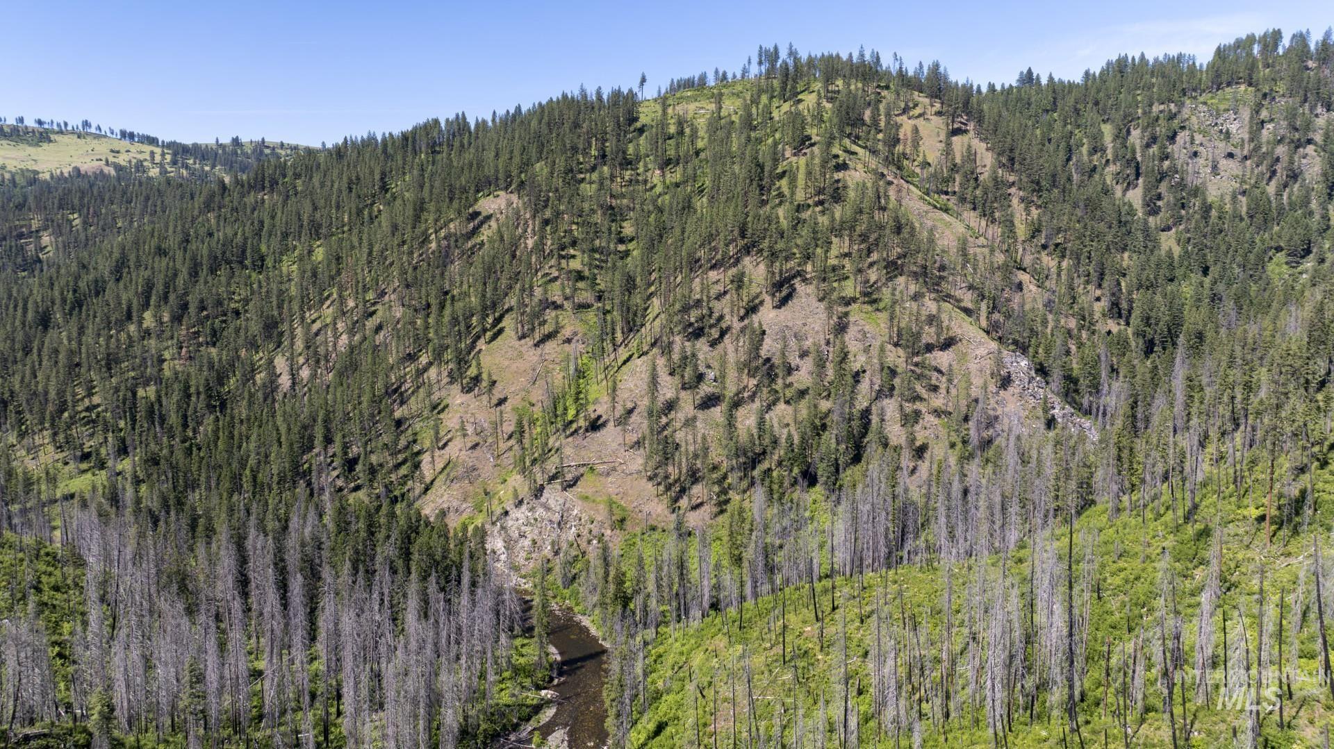 0 Forest Garden Ln, Parcel 4, Weippe, Idaho 83553, Land For Sale, Price $149,900, 98951008