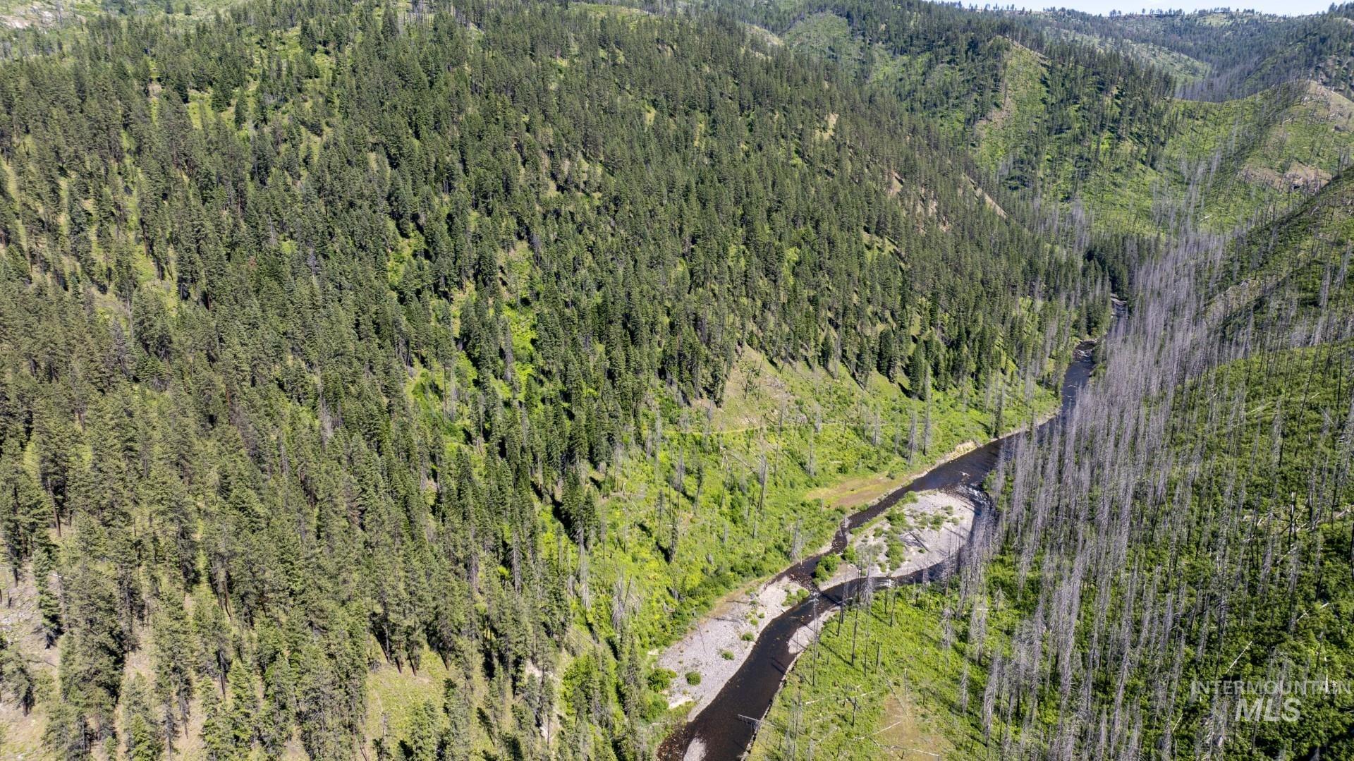 0 Forest Garden Ln, Parcel 4, Weippe, Idaho 83553, Land For Sale, Price $149,900, 98951008