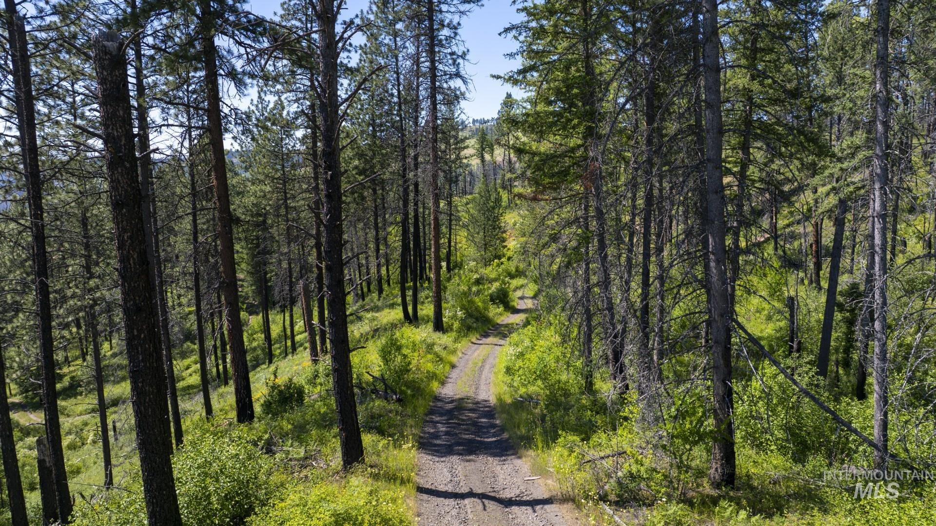 0 Forest Garden Ln, Parcel 4, Weippe, Idaho 83553, Land For Sale, Price $149,900, 98951008