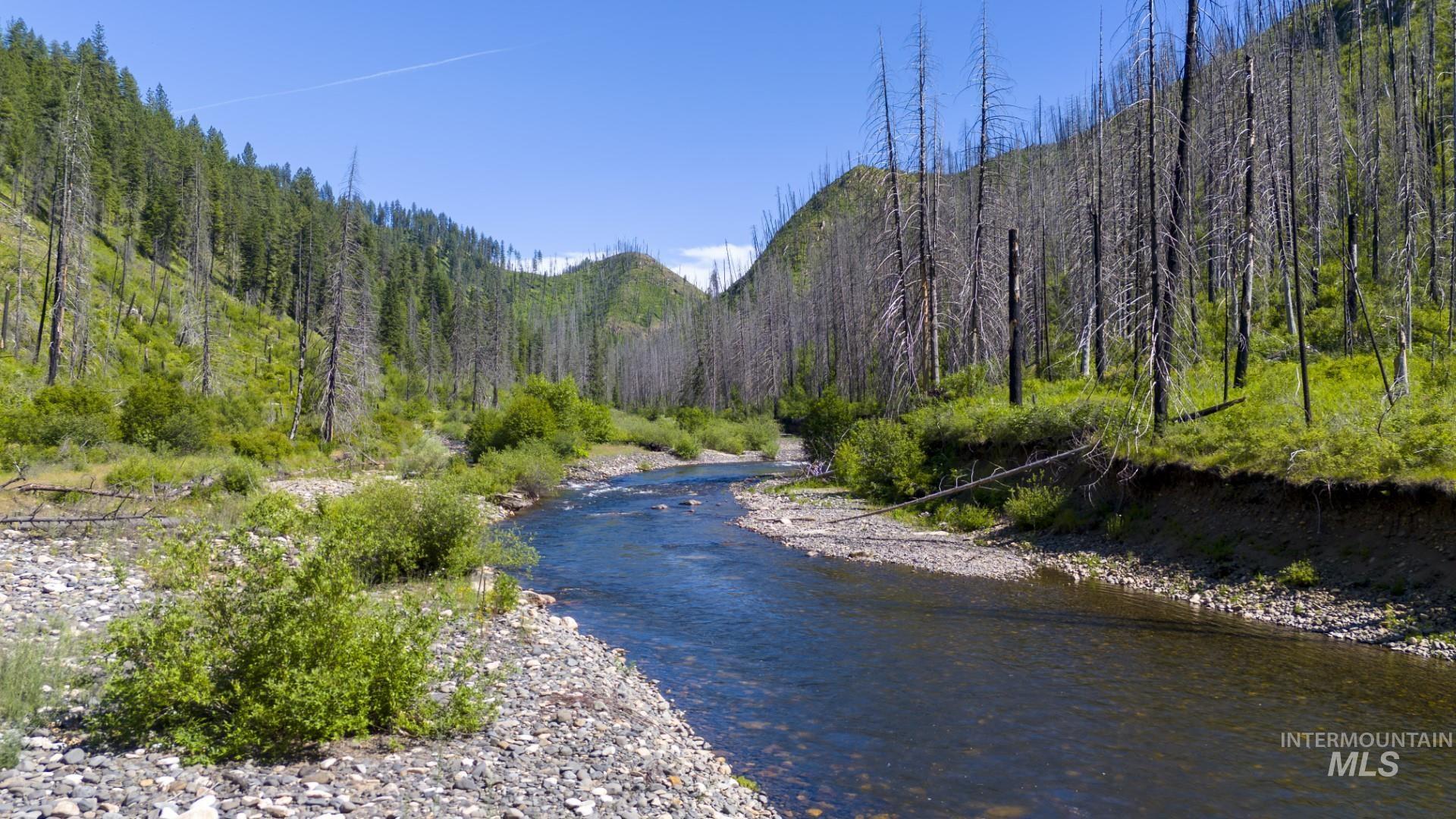 0 Forest Garden Ln, Parcel 4, Weippe, Idaho 83553, Land For Sale, Price $149,900, 98951008