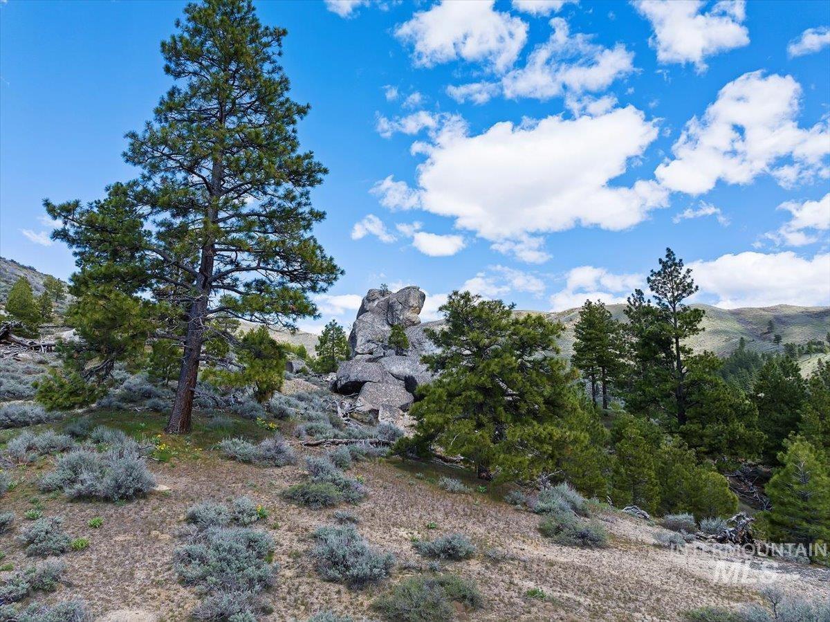 675 W Russell Dr, Prairie, Idaho 83647, 3 Bedrooms, 2 Bathrooms, Residential For Sale, Price $1,500,000,MLS 98951187
