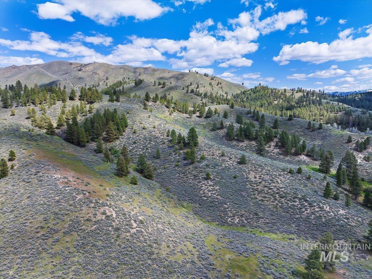 675 W Russell Dr, Prairie, Idaho 83647, 3 Bedrooms, 2 Bathrooms, Residential For Sale, Price $1,500,000,MLS 98951187