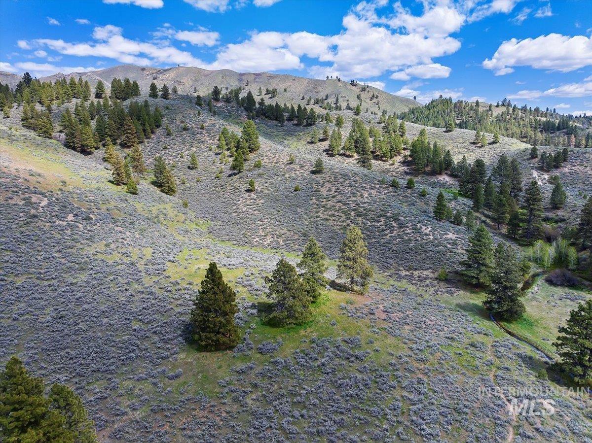675 W Russell Dr, Prairie, Idaho 83647, 3 Bedrooms, 2 Bathrooms, Residential For Sale, Price $1,500,000,MLS 98951187