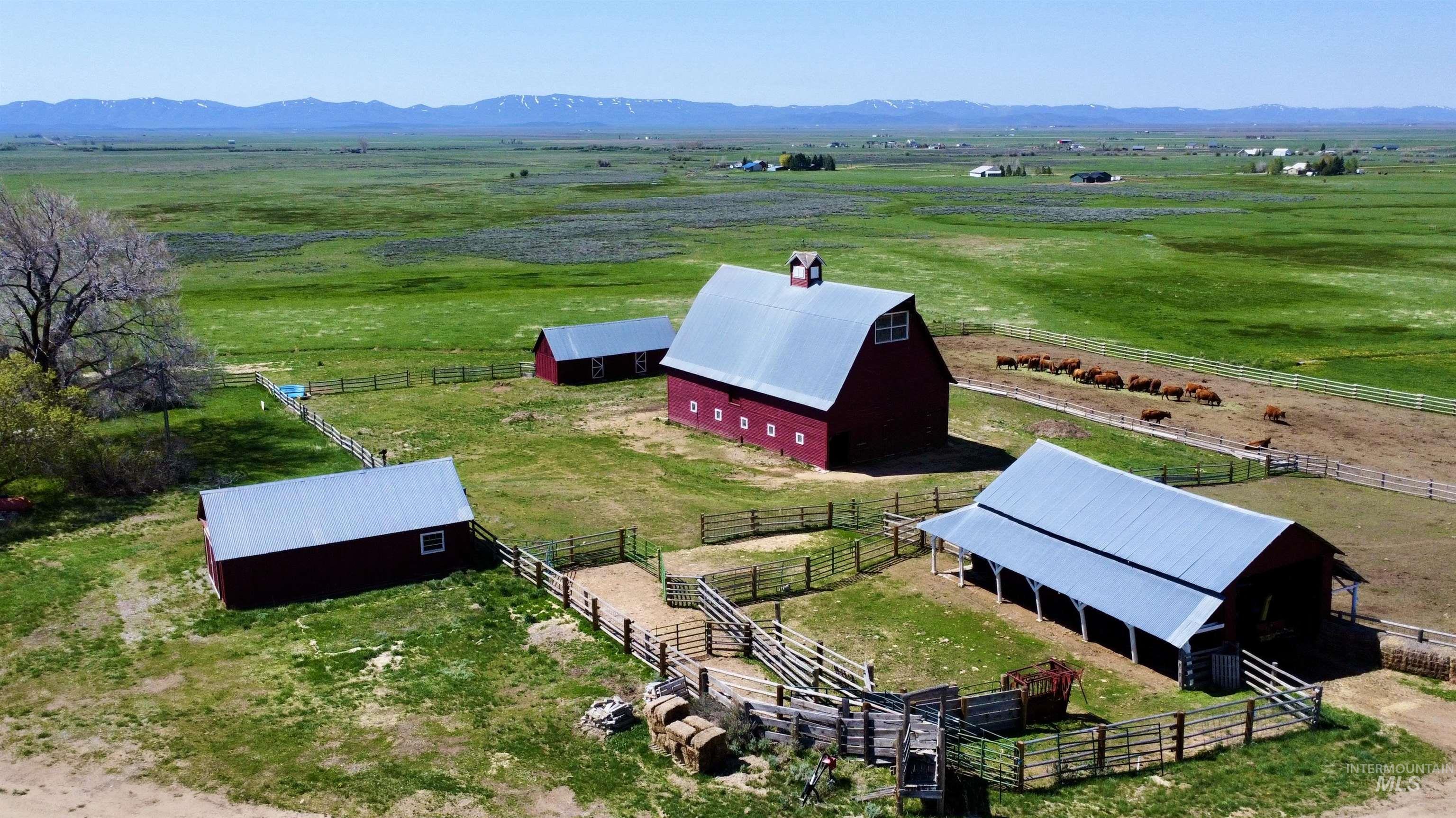 219 W 425 N, Fairfield, Idaho 83327, 5 Bedrooms, 2 Bathrooms, Farm & Ranch For Sale, Price $2,850,000, 98951324