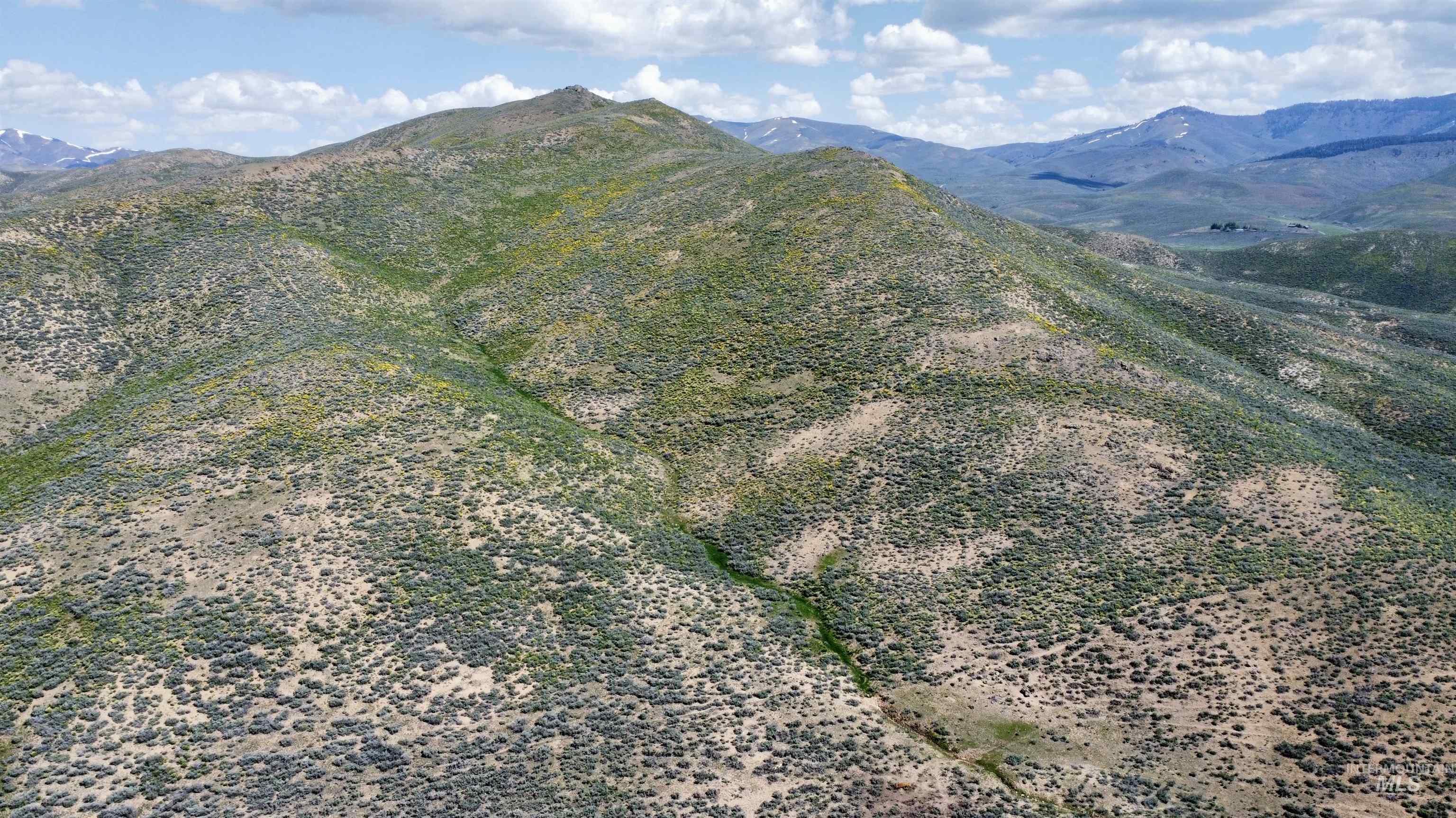 219 W 425 N, Fairfield, Idaho 83327, 5 Bedrooms, 2 Bathrooms, Farm & Ranch For Sale, Price $2,850,000, 98951324