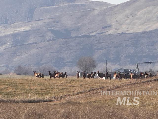 Lot 1 Jake Lane, Emmett, Idaho 83617, Land For Sale, Price $299,000,MLS 98951354