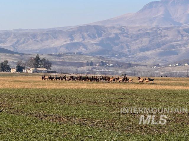 Lot 7 Jake Lane, Emmett, Idaho 83617, Land For Sale, Price $295,000,MLS 98951413