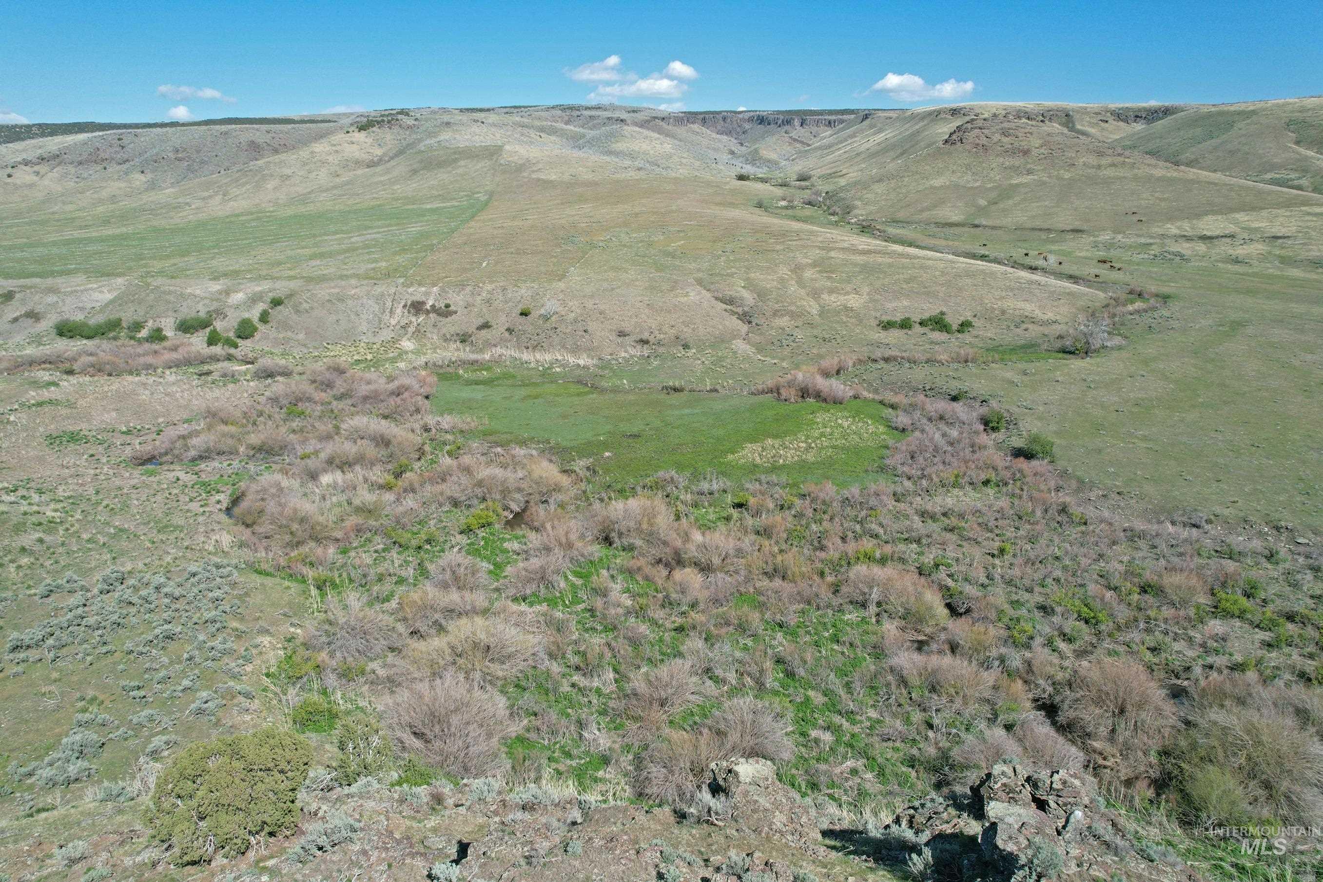 TBD Marsh Creek Road, Albion, Idaho 83311, Land For Sale, Price $3,000,000, 98951584