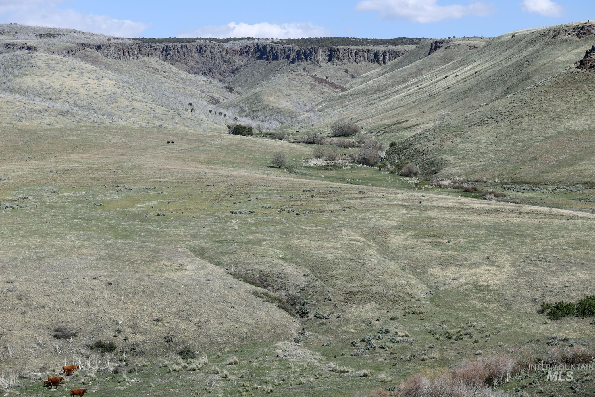 TBD Marsh Creek Road, Albion, Idaho 83311, Land For Sale, Price $3,000,000, 98951584