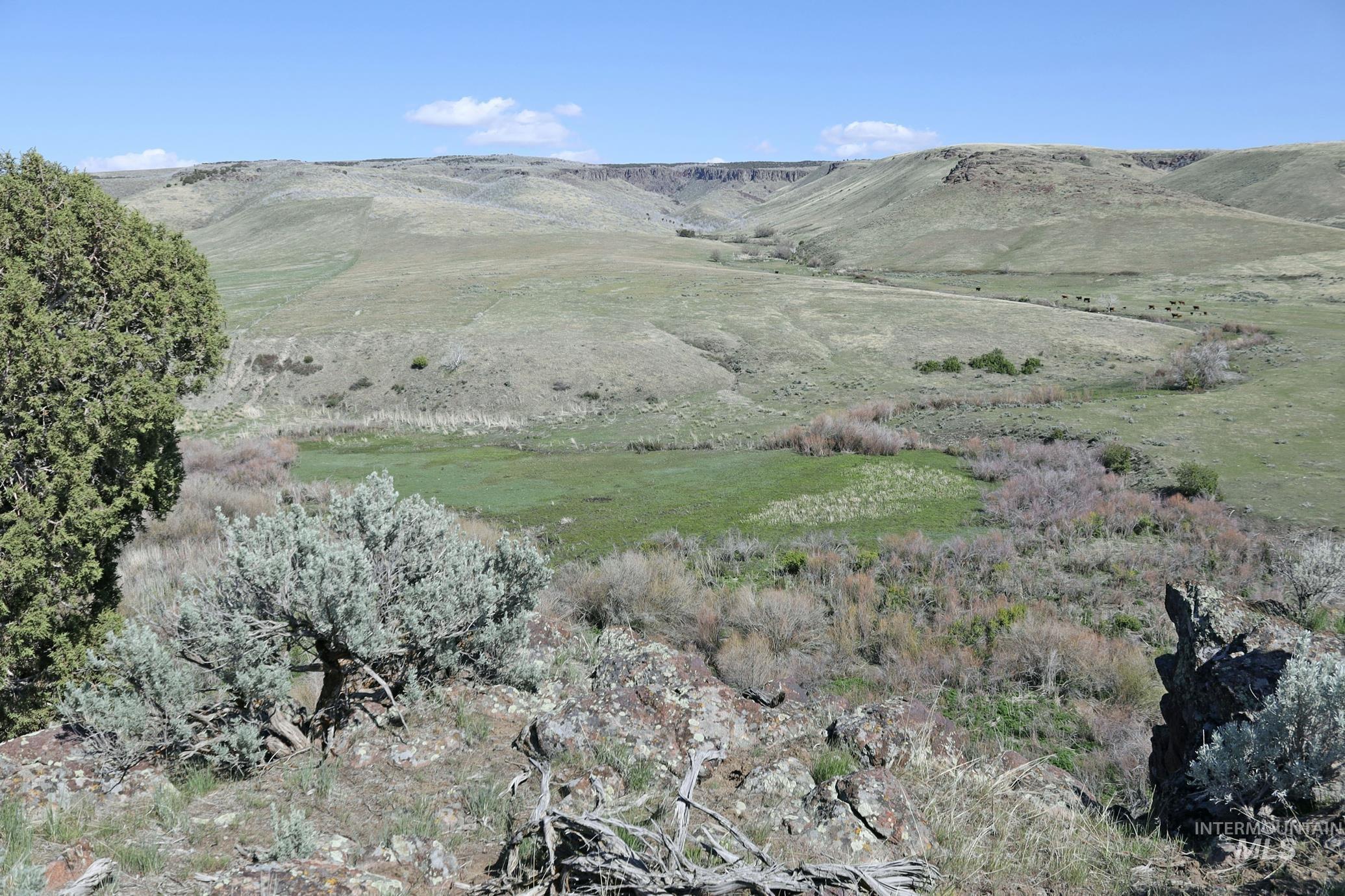 TBD Marsh Creek Road, Albion, Idaho 83311, Land For Sale, Price $3,000,000, 98951584