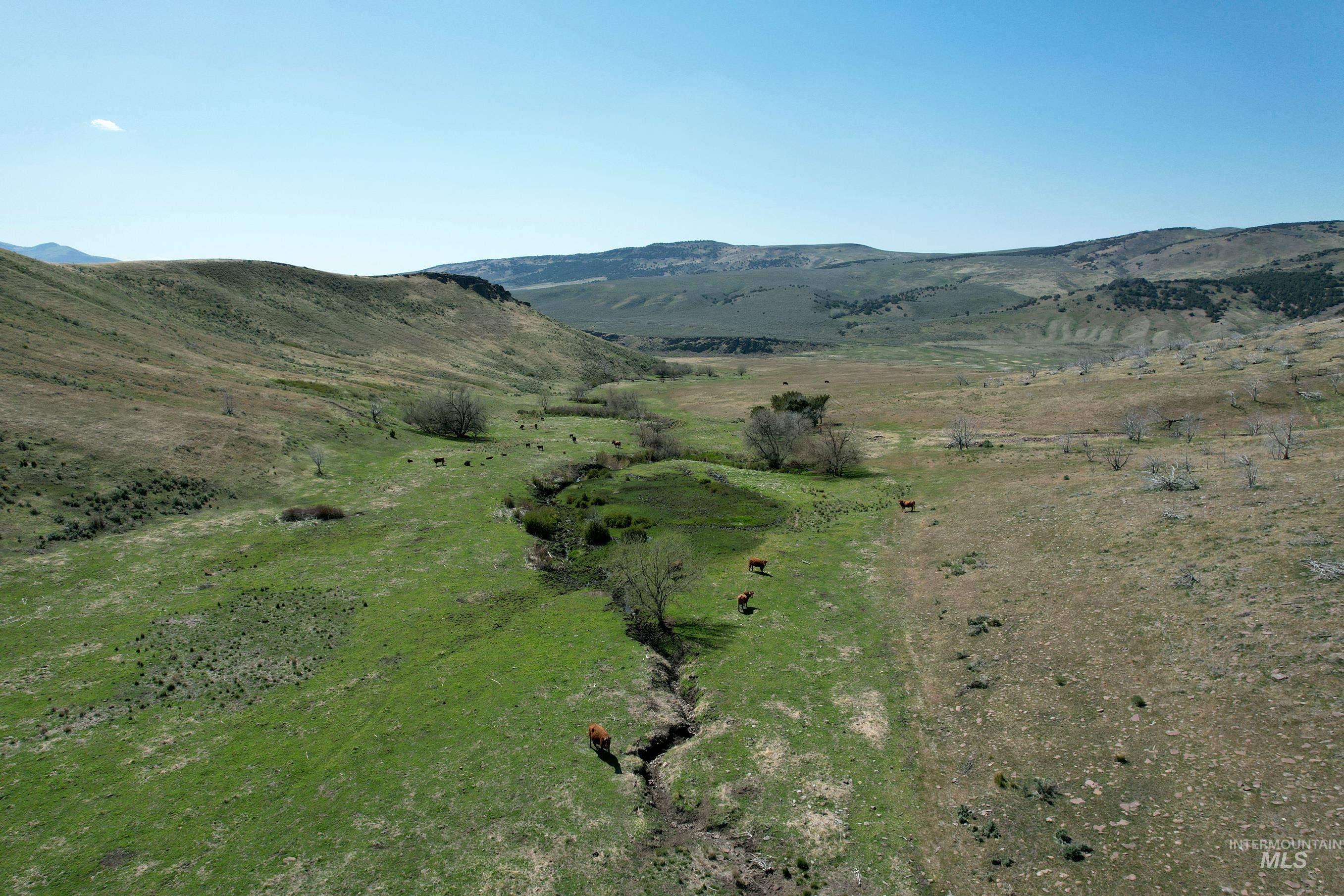 TBD Marsh Creek Road, Albion, Idaho 83311, Land For Sale, Price $3,000,000, 98951584
