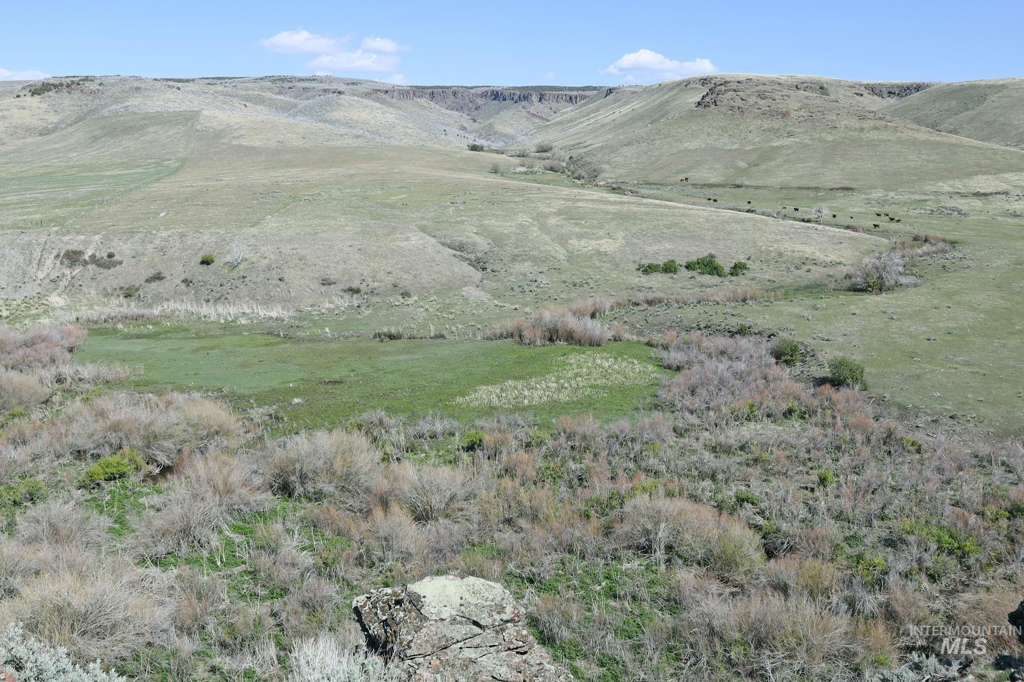 TBD Marsh Creek Road, Albion, Idaho 83311, Land For Sale, Price $3,000,000, 98951584