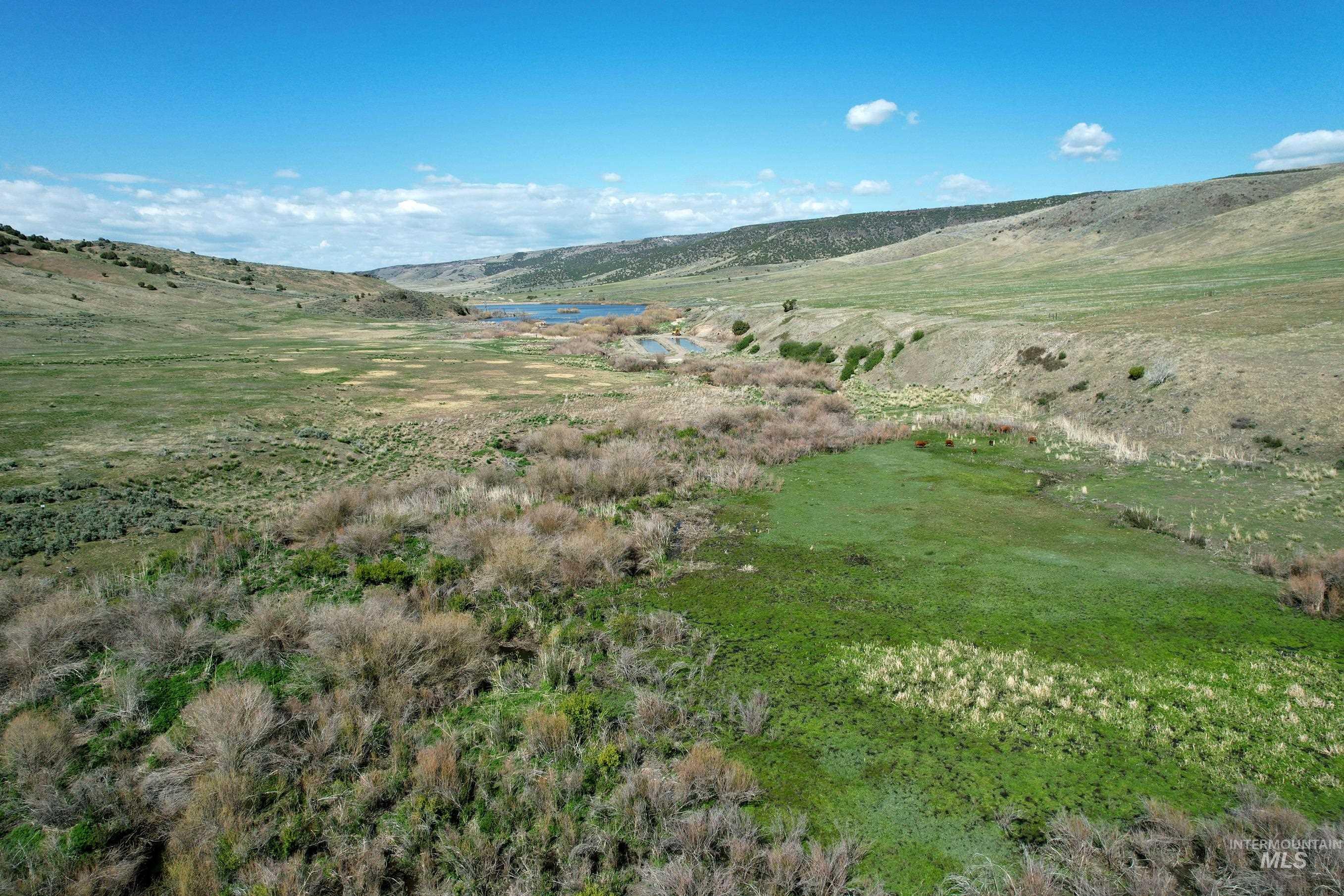 TBD Marsh Creek Road, Albion, Idaho 83311, Land For Sale, Price $3,000,000, 98951584