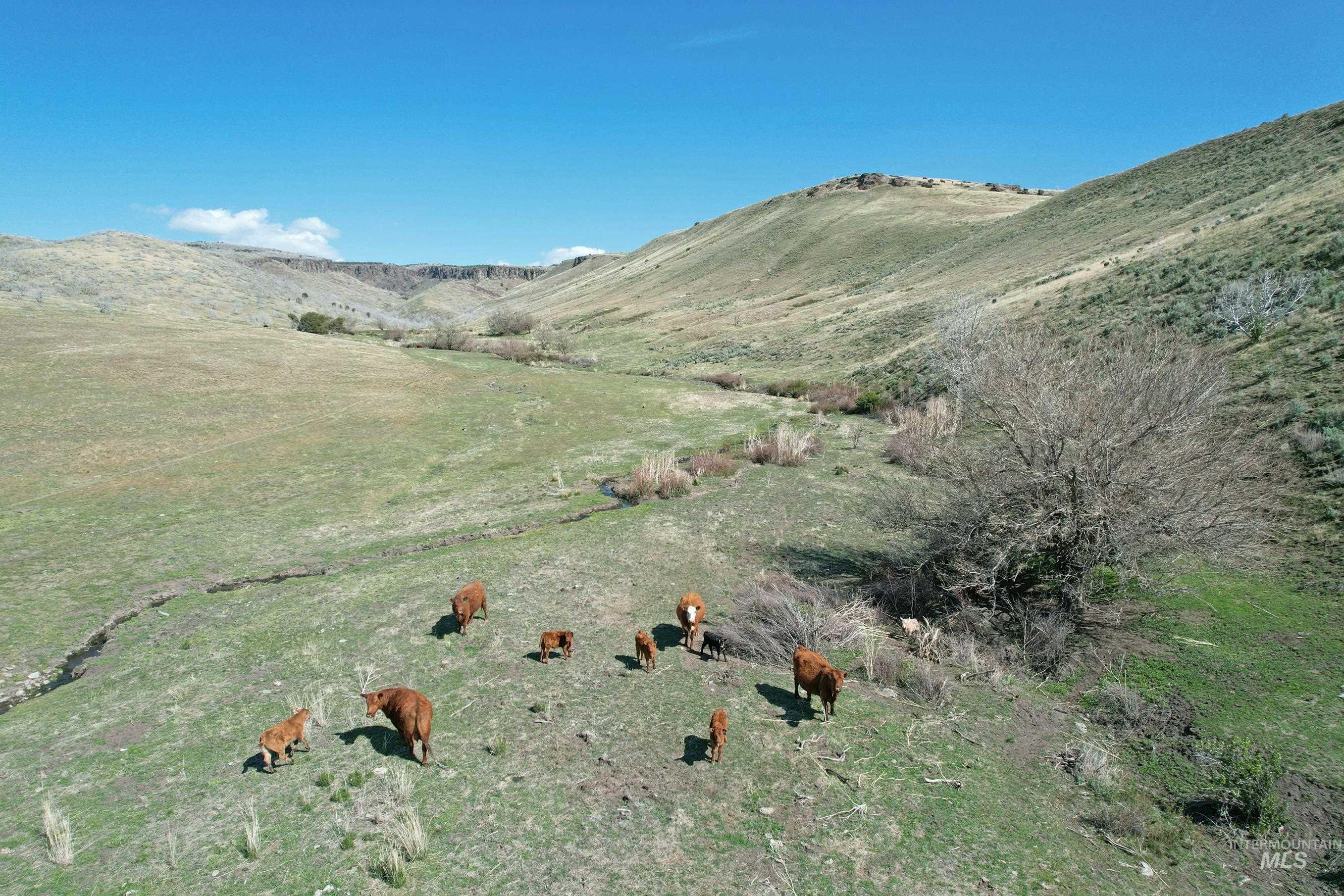 TBD Marsh Creek Road, Albion, Idaho 83311, Land For Sale, Price $3,000,000, 98951584