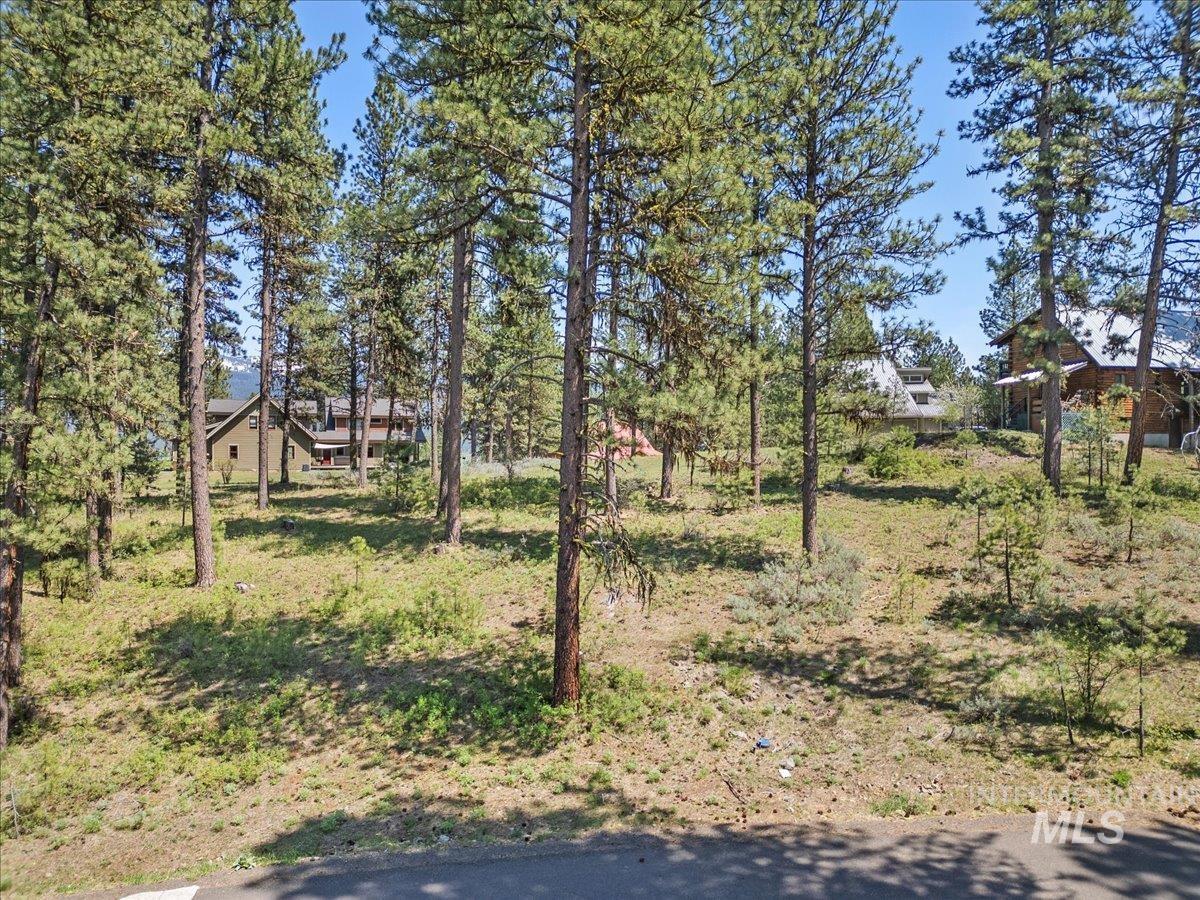 L1B11 Yarrow Dr, New Meadows, Idaho 83654, Land For Sale, Price $83,500,MLS 98951830