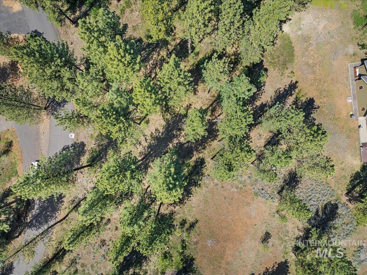 L1B11 Yarrow Dr, New Meadows, Idaho 83654, Land For Sale, Price $83,500,MLS 98951830