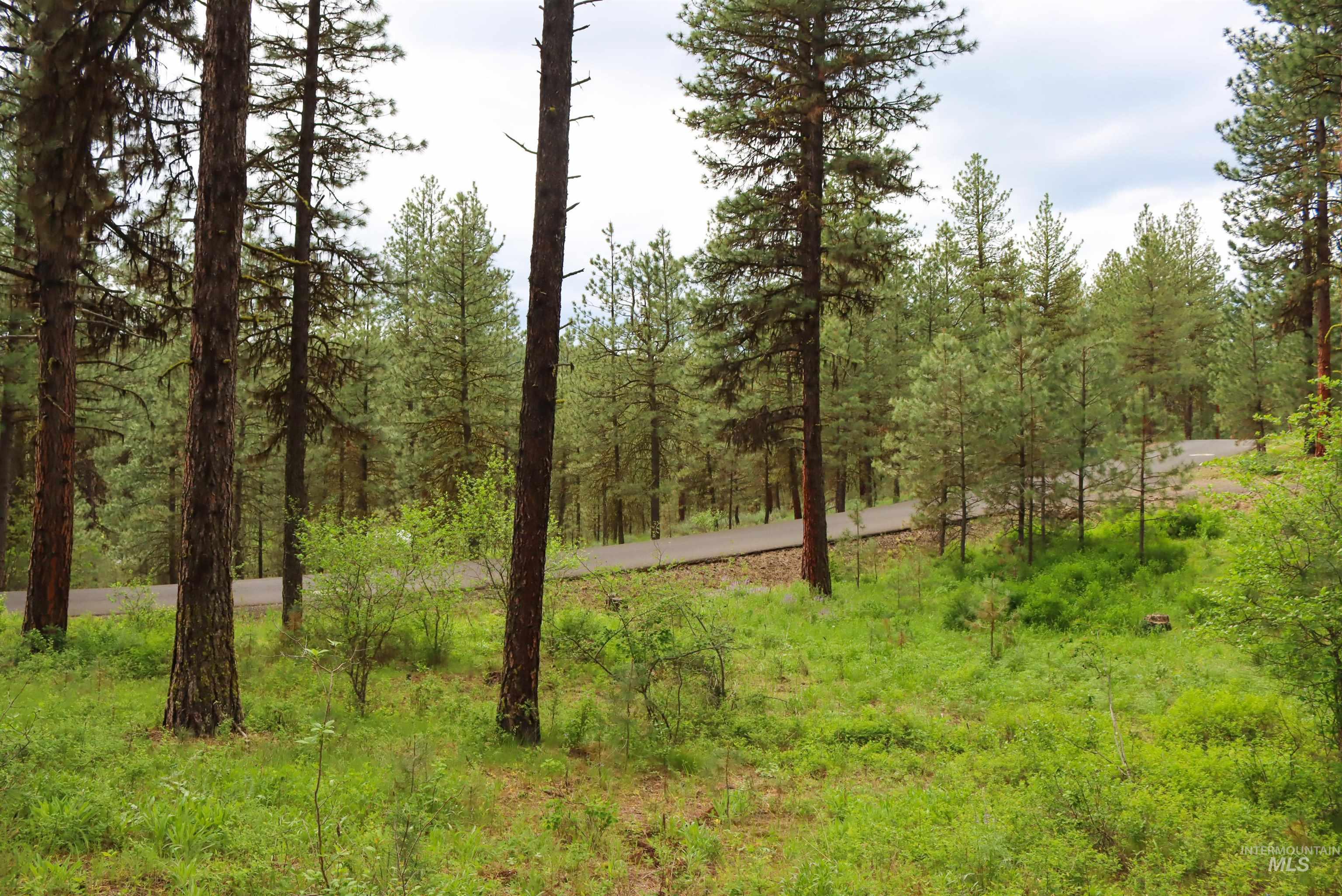 L1B11 Yarrow Dr, New Meadows, Idaho 83654, Land For Sale, Price $83,500,MLS 98951830