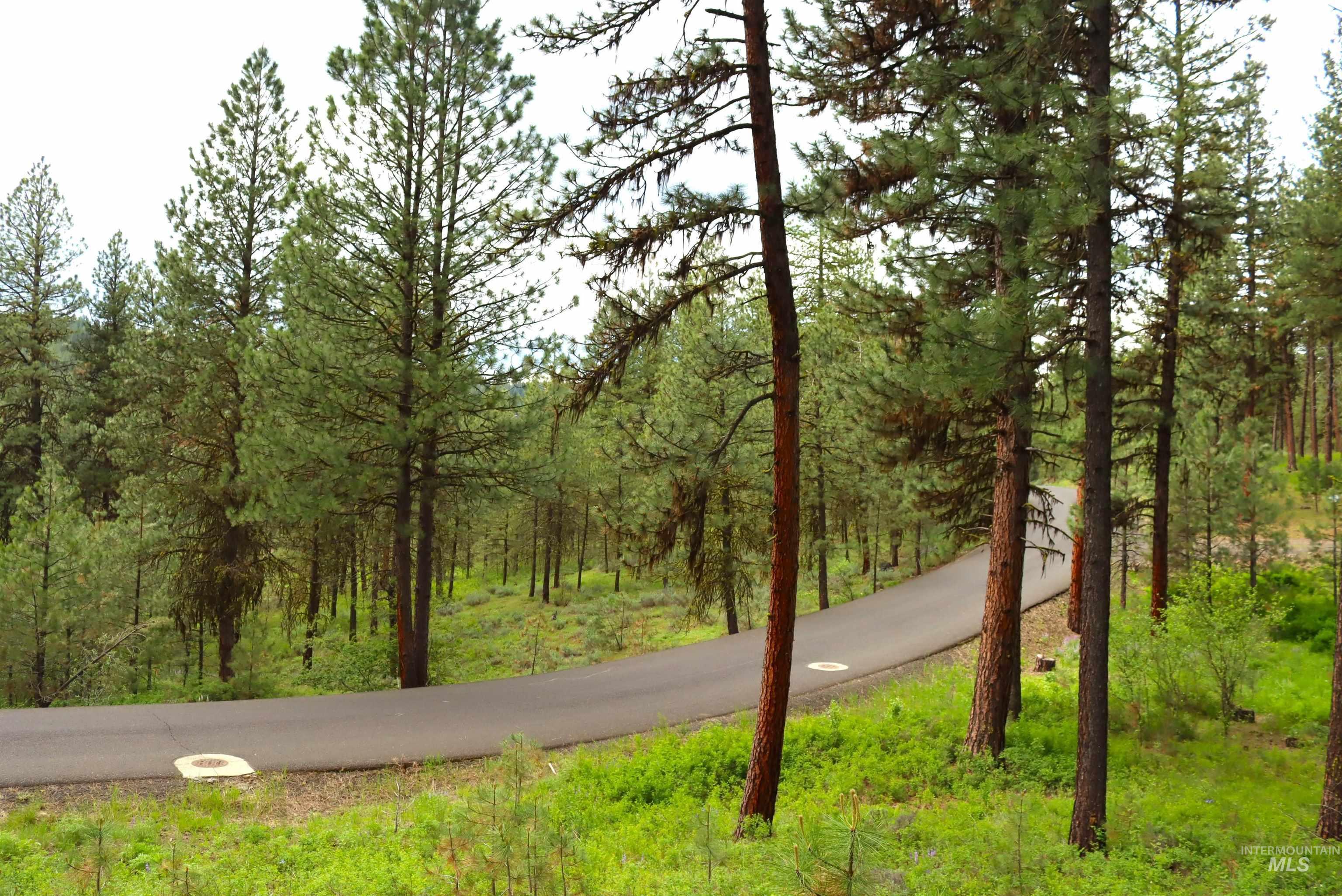 L1B11 Yarrow Dr, New Meadows, Idaho 83654, Land For Sale, Price $83,500,MLS 98951830