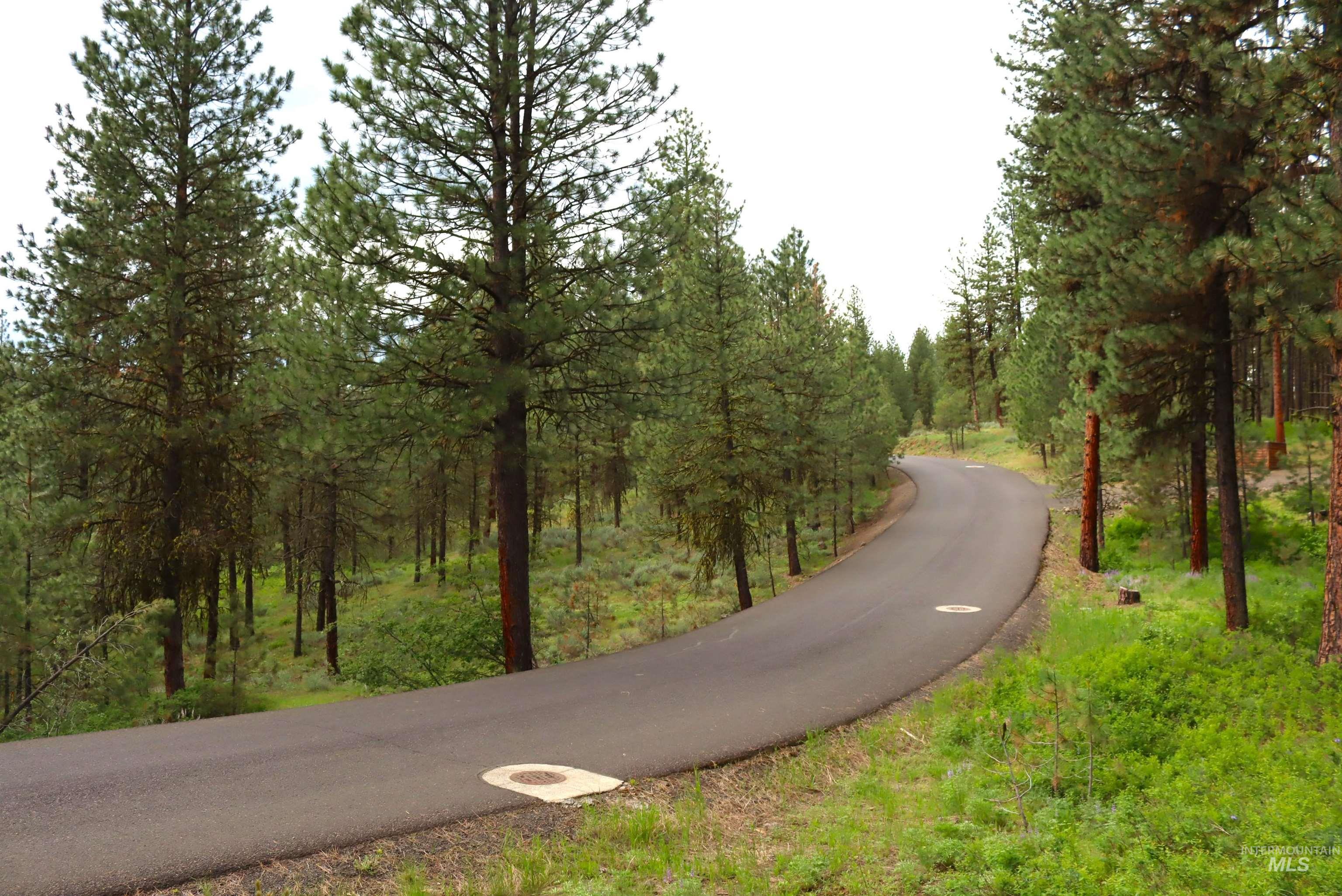 L1B11 Yarrow Dr, New Meadows, Idaho 83654, Land For Sale, Price $83,500,MLS 98951830