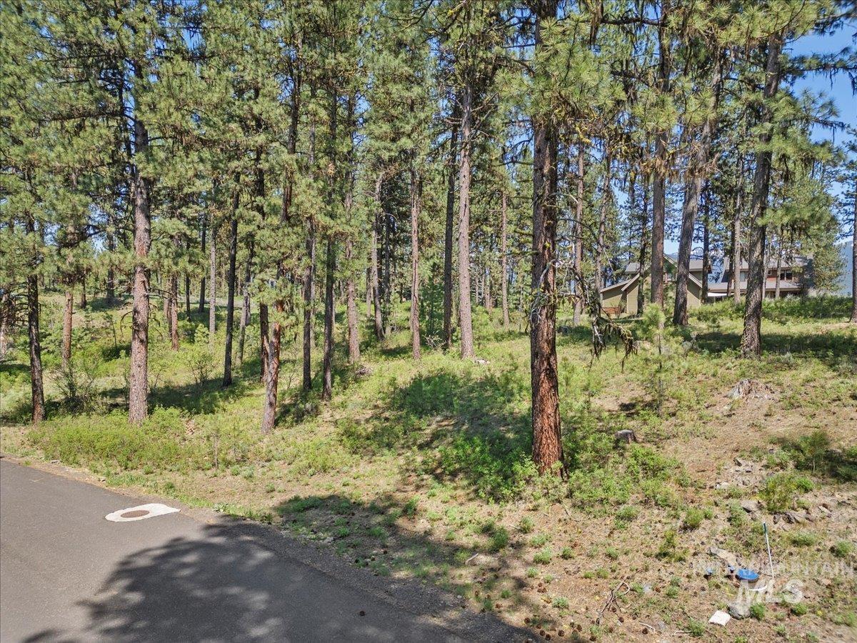 L1B11 Yarrow Dr, New Meadows, Idaho 83654, Land For Sale, Price $83,500,MLS 98951830