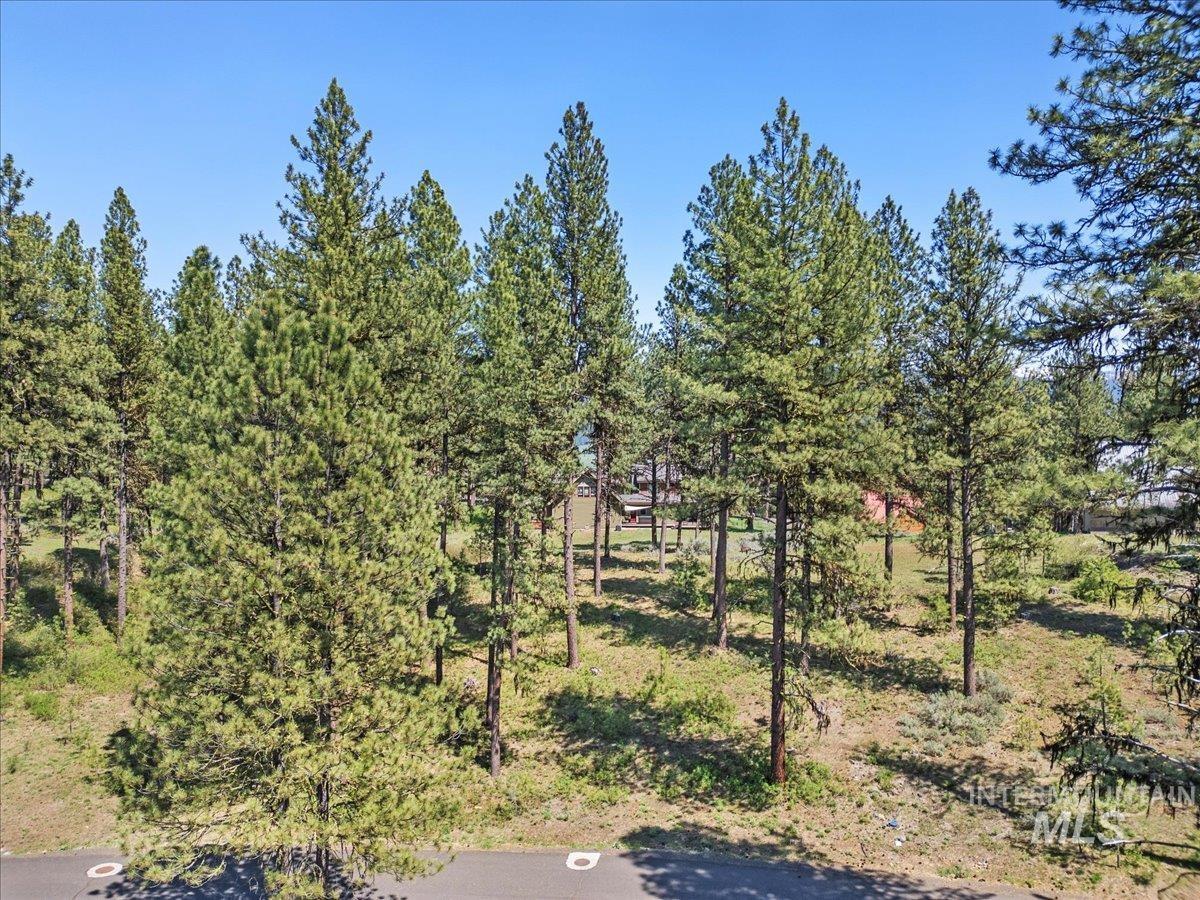L1B11 Yarrow Dr, New Meadows, Idaho 83654, Land For Sale, Price $83,500,MLS 98951830