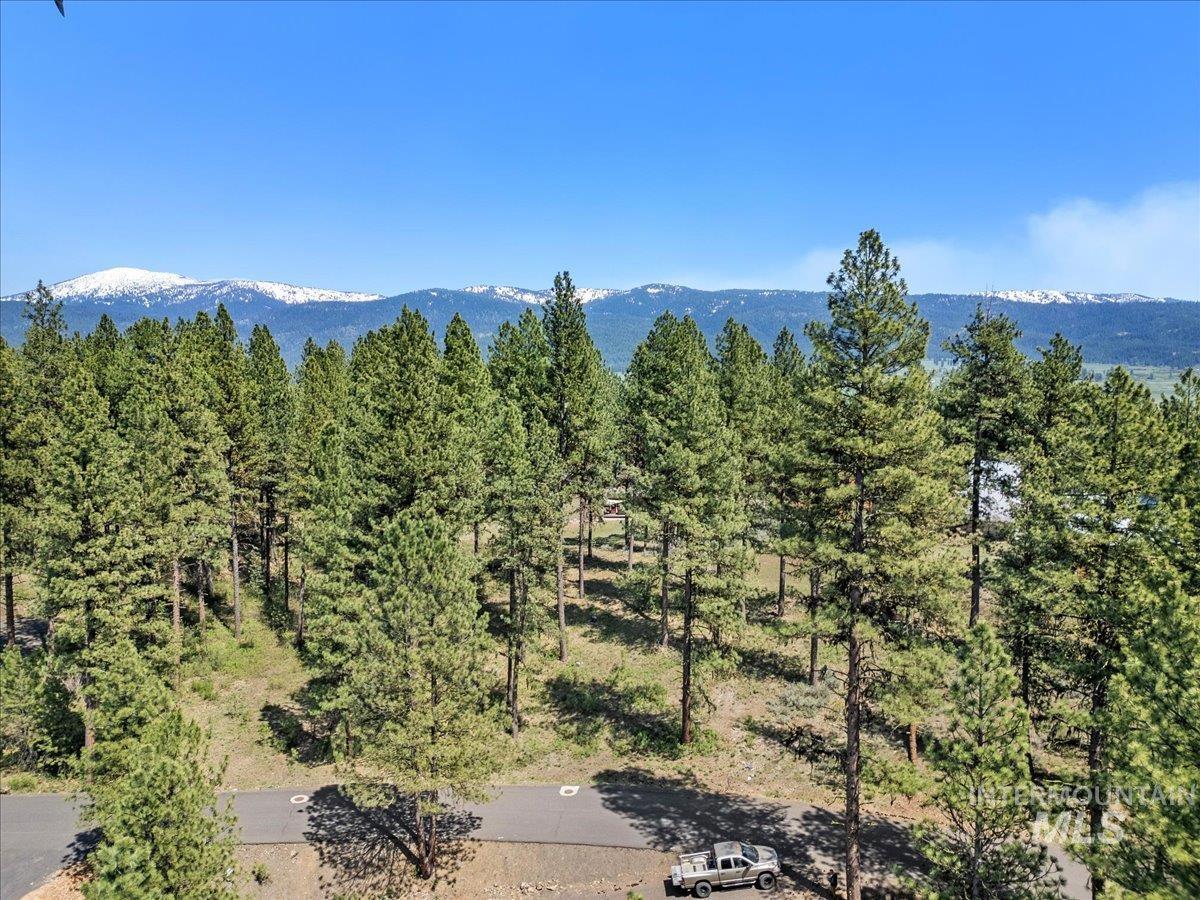L1B11 Yarrow Dr, New Meadows, Idaho 83654, Land For Sale, Price $83,500,MLS 98951830