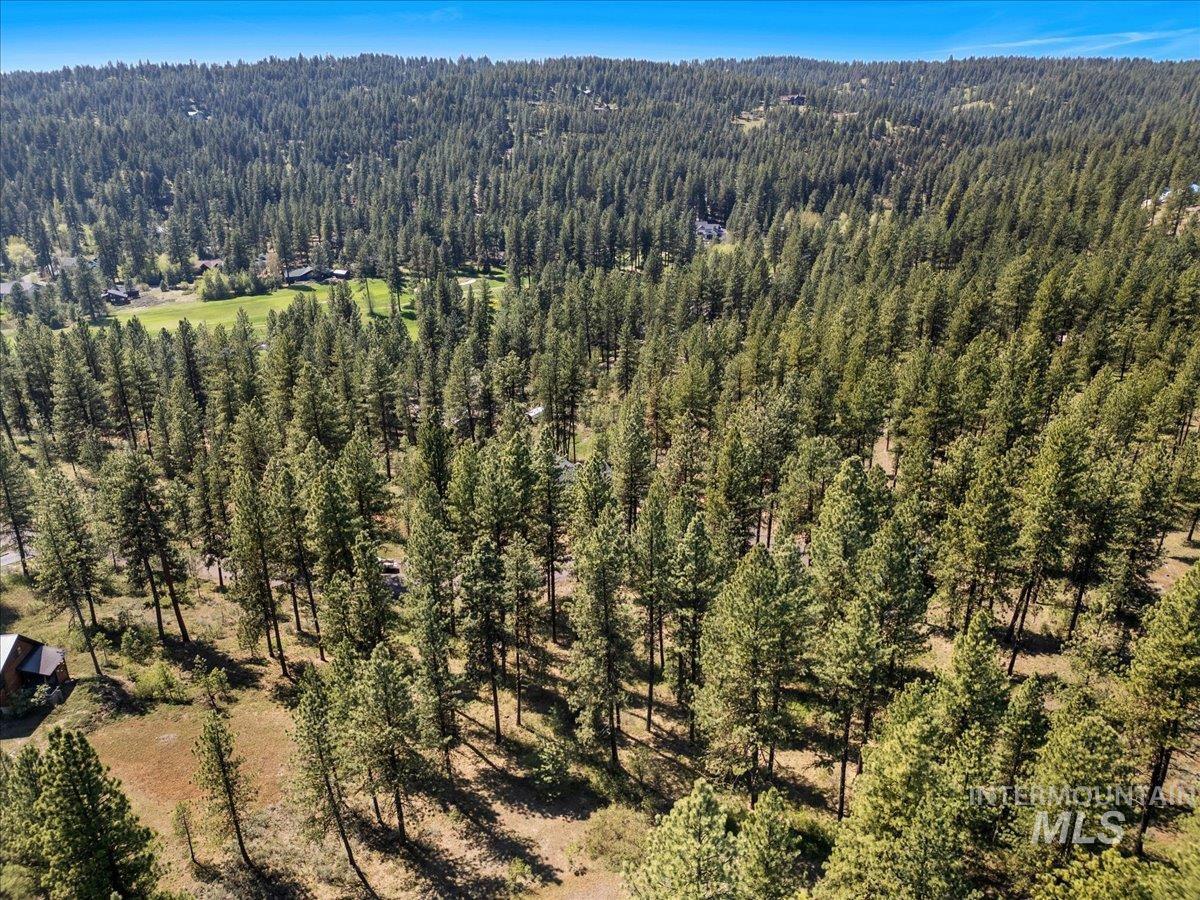 L1B11 Yarrow Dr, New Meadows, Idaho 83654, Land For Sale, Price $83,500,MLS 98951830