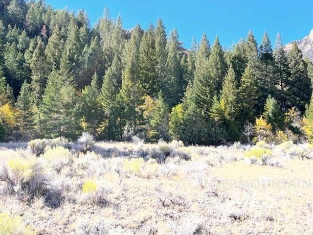 Badger Creek, Howe, Idaho 83244, Land For Sale, Price $750,000,MLS 98951894