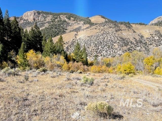 Badger Creek, Howe, Idaho 83244, Land For Sale, Price $750,000,MLS 98951894