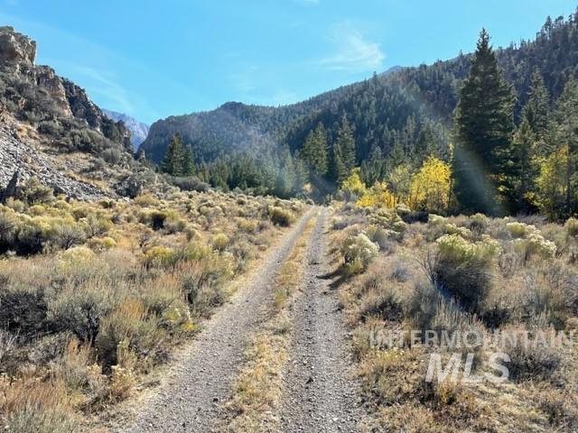 Badger Creek, Howe, Idaho 83244, Land For Sale, Price $750,000,MLS 98951894