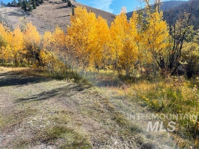 Badger Creek, Howe, Idaho 83244, Land For Sale, Price $750,000,MLS 98951894