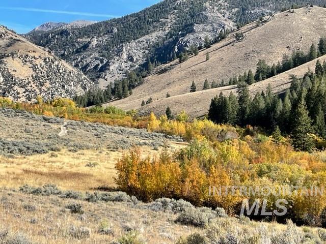 Badger Creek, Howe, Idaho 83244, Land For Sale, Price $750,000,MLS 98951894
