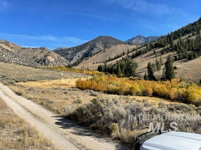 Badger Creek, Howe, Idaho 83244, Land For Sale, Price $750,000,MLS 98951894