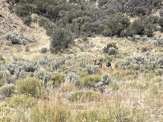 Badger Creek, Howe, Idaho 83244, Land For Sale, Price $750,000,MLS 98951894