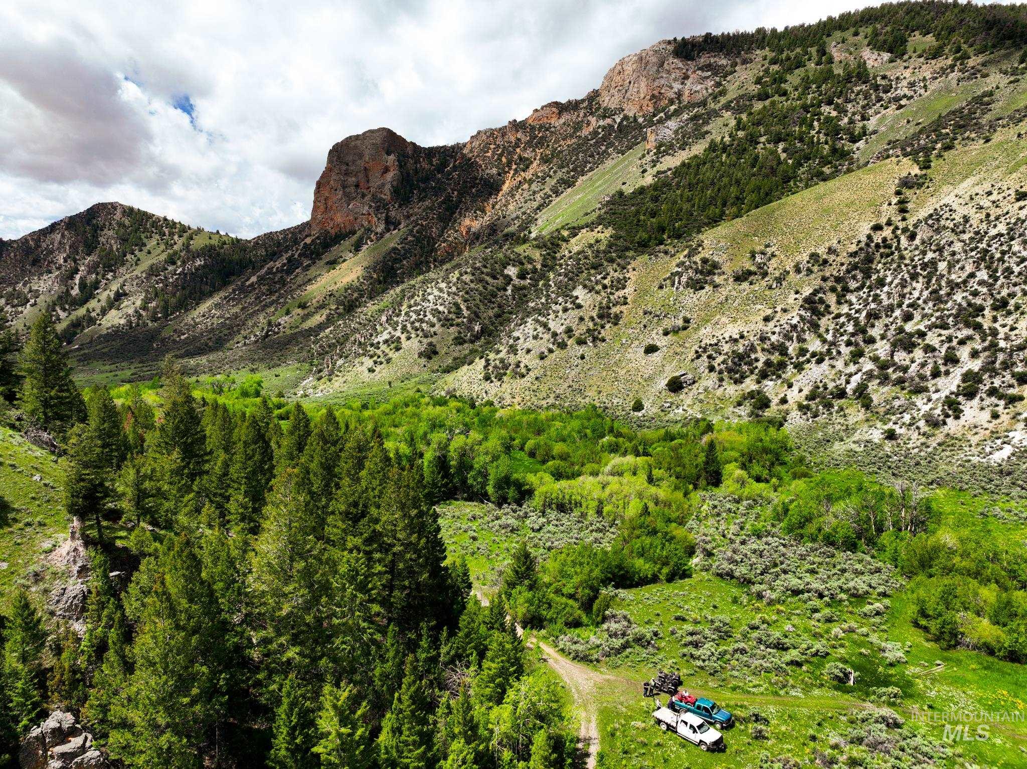 Badger Creek, Howe, Idaho 83244, Land For Sale, Price $750,000,MLS 98951894